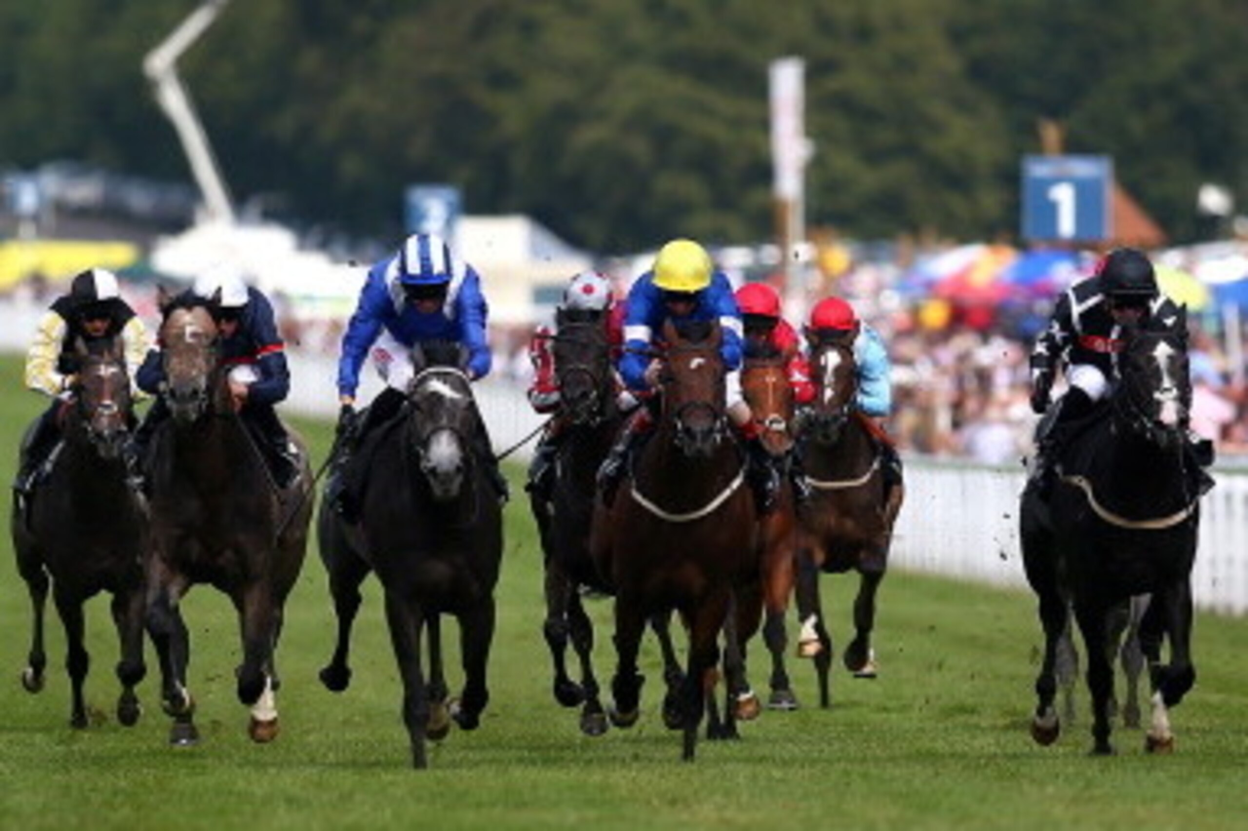 CHICHESTER, ENGLAND - AUGUST 01: James Doyle riding Son of Africa (2nd R) wins The Betfred Supports Jack Berry House at Goodwood racecourse on August 01, 2014 in Chichester, England. (Photo by Charlie Crowhurst/Getty Images)