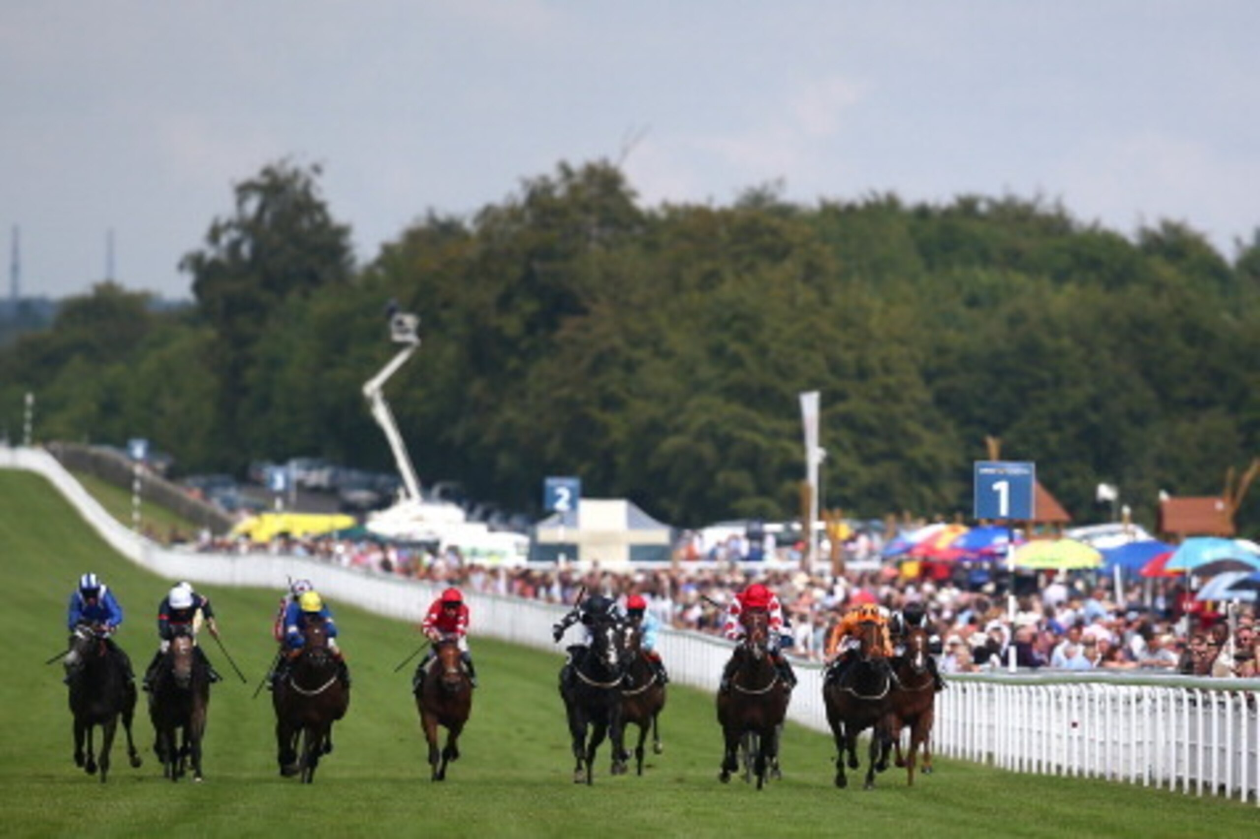 CHICHESTER, ENGLAND - AUGUST 01: A general view of the action as horses run in The Betfred Supports Jack Berry House at Goodwood racecourse on August 01, 2014 in Chichester, England. (Photo by Charlie Crowhurst/Getty Images)