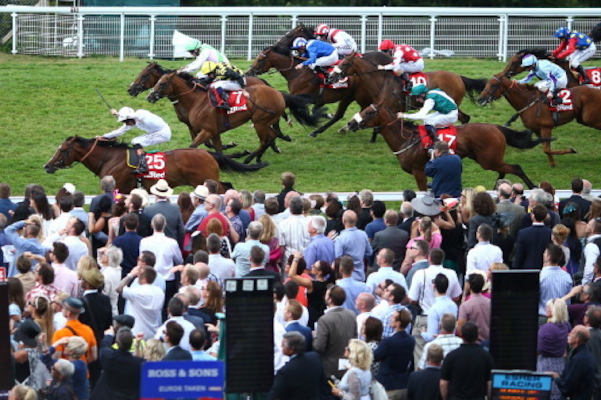 CHICHESTER, ENGLAND - AUGUST 02: Richard Hughes riding Intrinsic (no.25) wins The 32Red Cup at Goodwood racecourse on August 02, 2014 in Chichester, England. (Photo by Charlie Crowhurst/Getty Images)