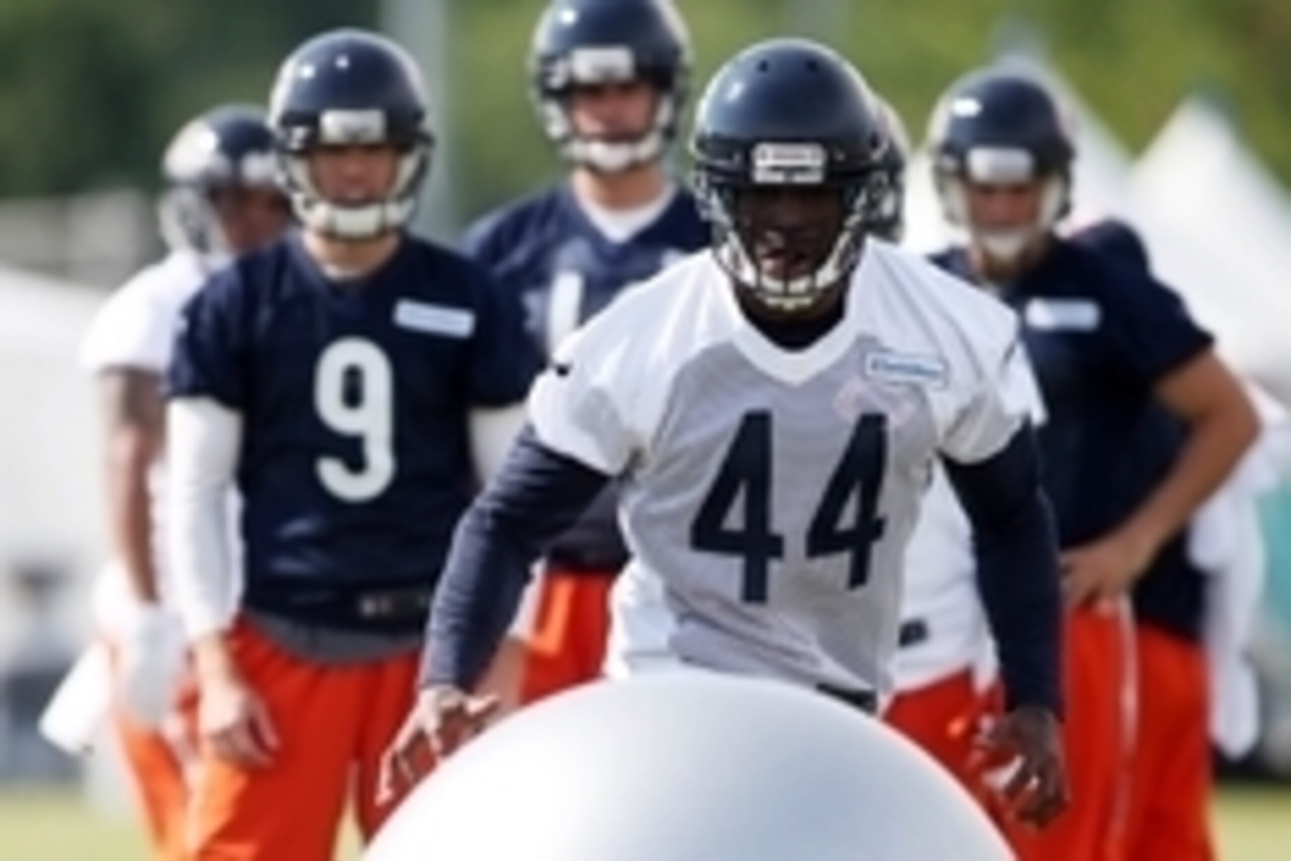 Jul 25, 2014; Chicago, IL, USA; Chicago Bears safety Adrian Wilson (44) goes through drills during training camp at Olivet Nazarene University. Mandatory Credit: Jerry Lai-USA TODAY Sports