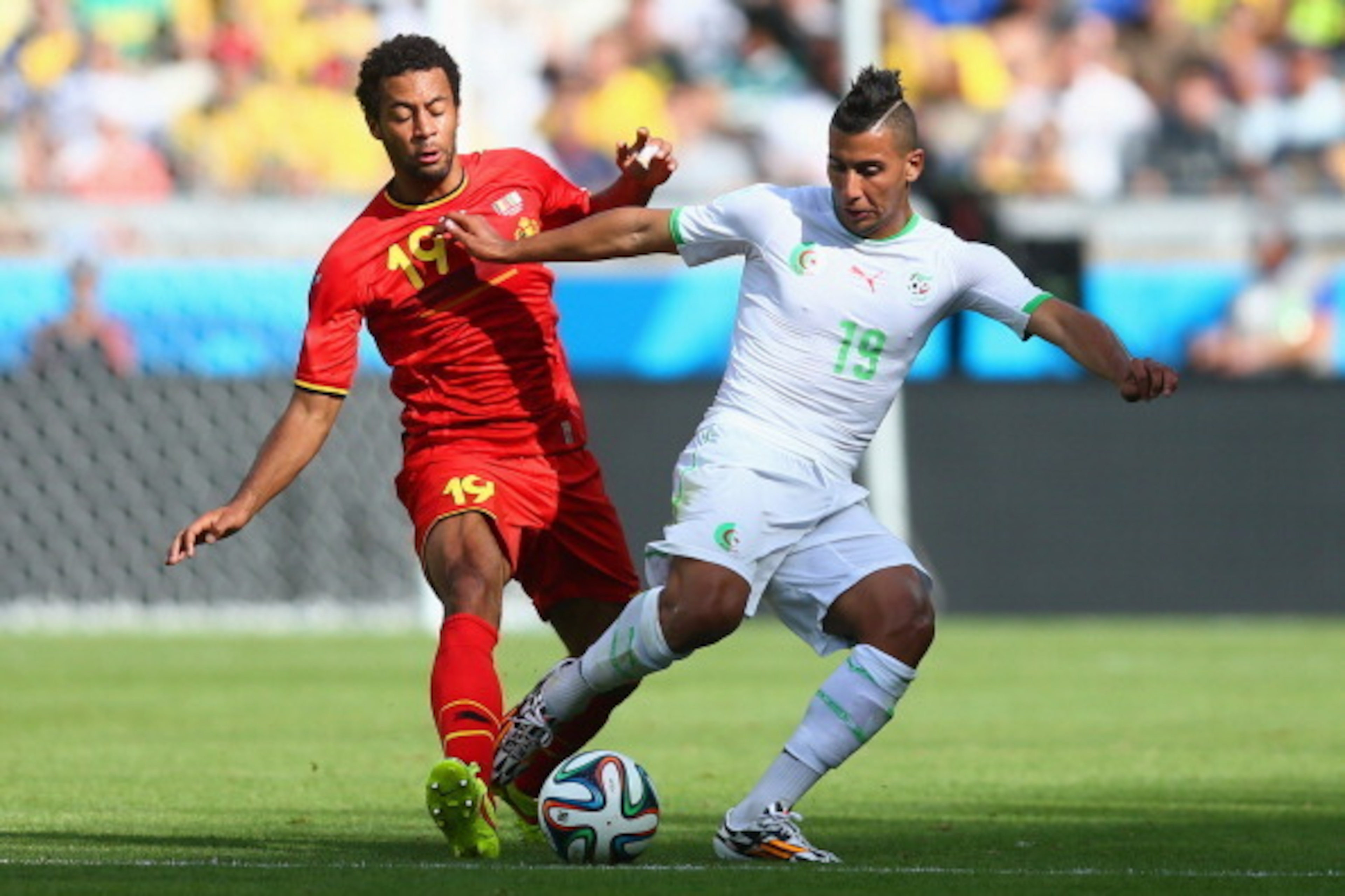 BELO HORIZONTE, BRAZIL - JUNE 17: Moussa Dembele of Belgium and Saphir Taider of Algeria battle for the ball during the 2014 FIFA World Cup Brazil Group H match between Belgium and Algeria at Estadio Mineirao on June 17, 2014 in Belo Horizonte, Brazil. BELO HORIZONTE, BRAZIL - JUNE 17: Moussa Dembele of Belgium and Saphir Taider of Algeria battle for the ball during the 2014 FIFA World Cup Brazil Group H match between Belgium and Algeria at Estadio Mineirao on June 17, 2014 in Belo Horizonte, Brazil.