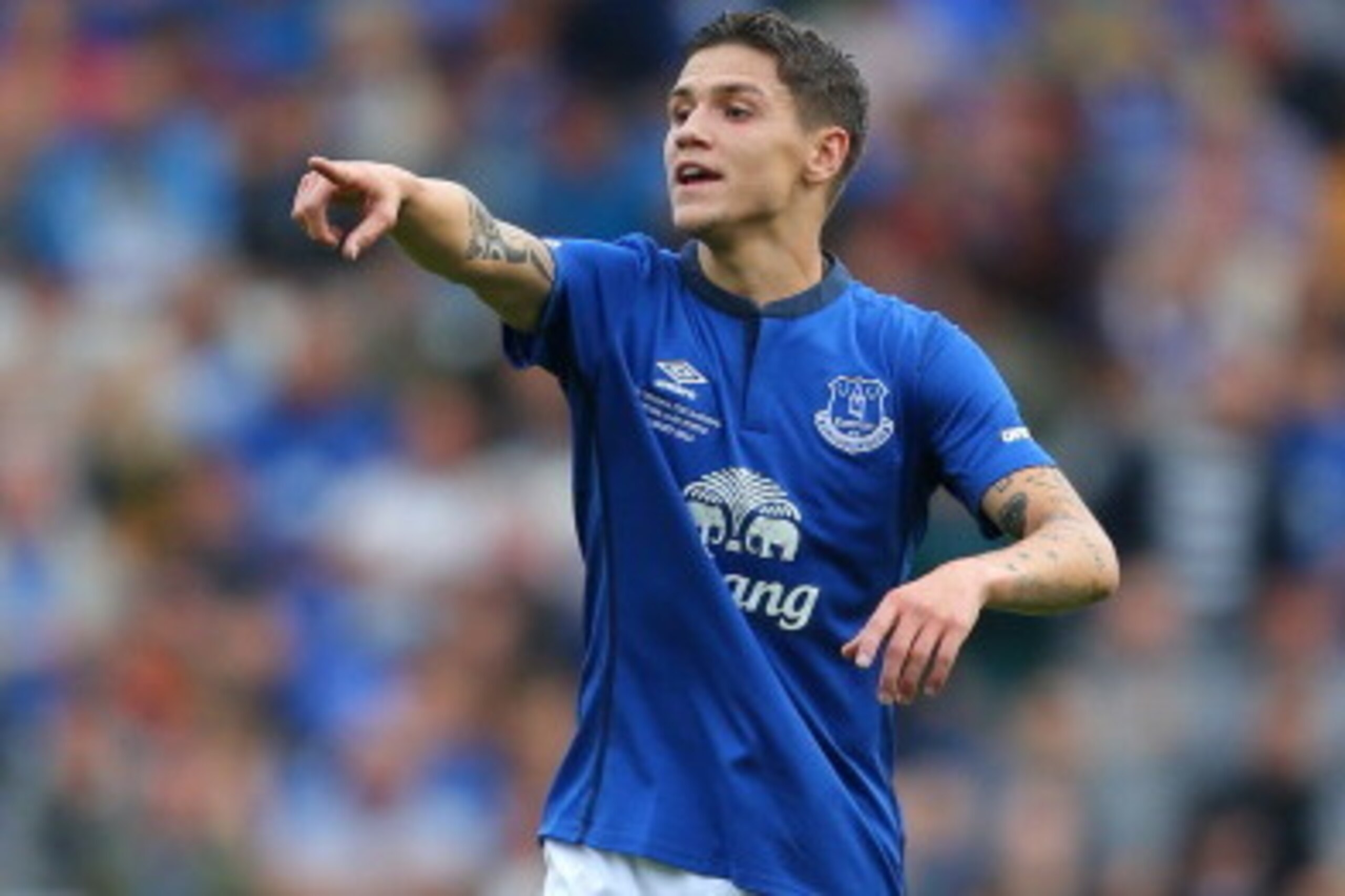LIVERPOOL, ENGLAND - AUGUST 03: Muhamed Besic of Everton during the Pre-Season Friendly between Everton and Porto at Goodison Park on August 3, 2014 in Liverpool, England.  (Photo by Dave Thompson/Getty Images)