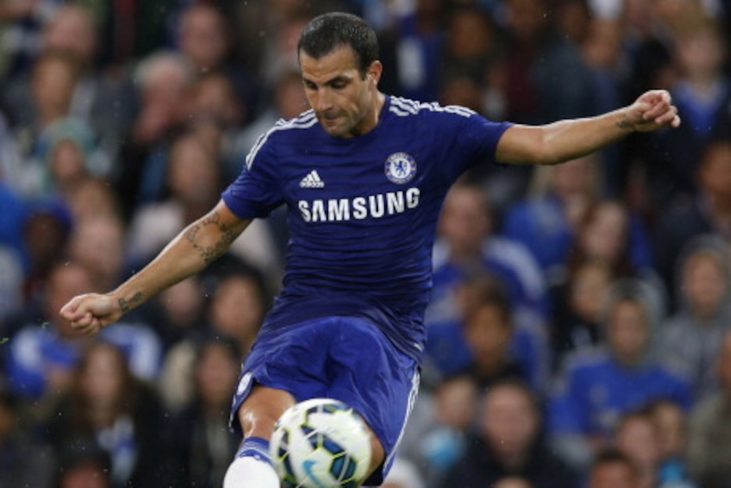 LONDON, ENGLAND - AUGUST 12: Cesc Fabregas of Chelsea in action during the pre-season friendly match between Chelsea and Real Sociedad at Stamford Bridge on August 12, 2014 in London, England. (Photo by Steve Bardens/Getty Images) LONDON, ENGLAND - AUGUST 12: Cesc Fabregas of Chelsea in action during the pre-season friendly match between Chelsea and Real Sociedad at Stamford Bridge on August 12, 2014 in London, England. (Photo by Steve Bardens/Getty Images)