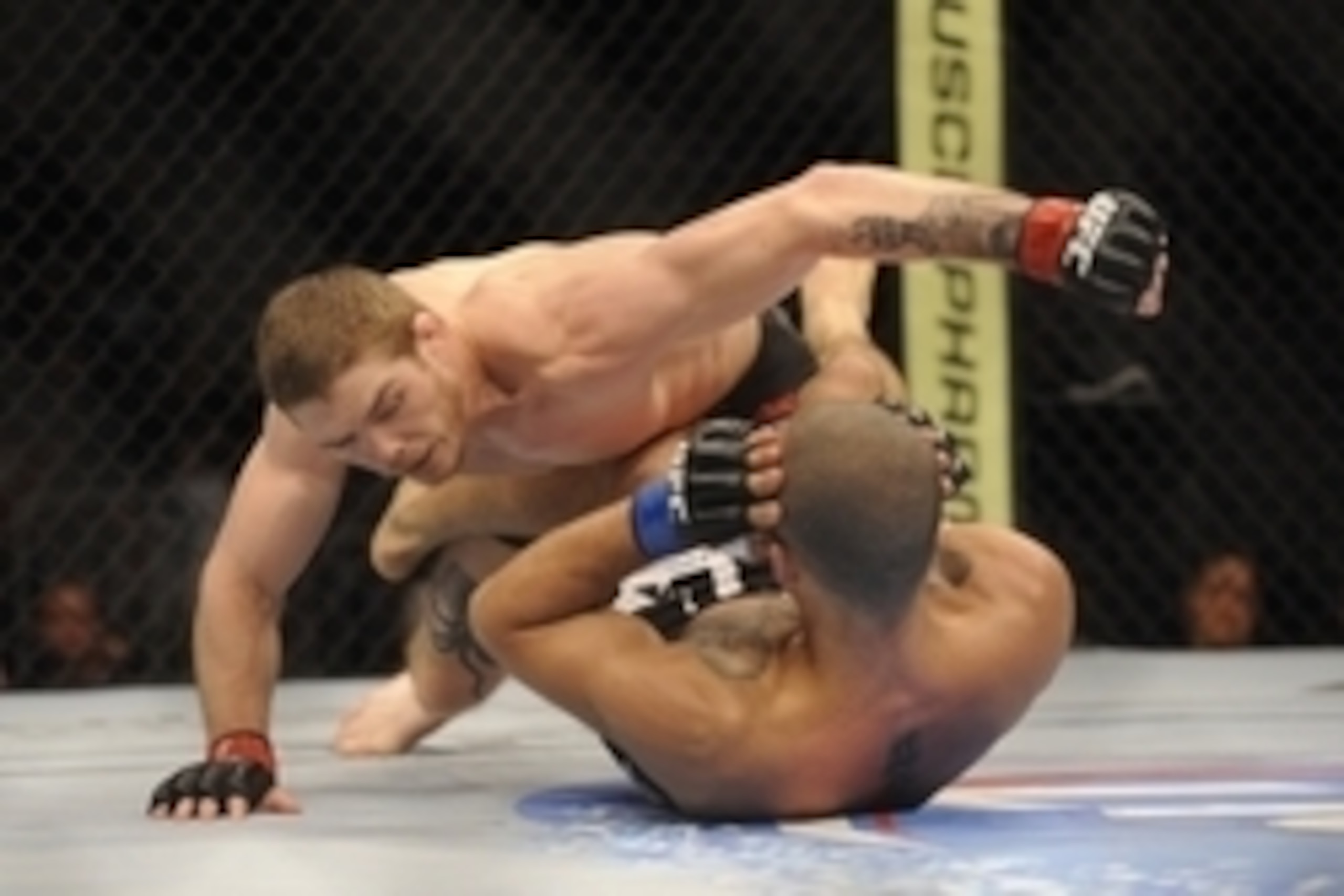 Apr 19, 2014; Orlando, FL, USA; Jordan Mein, red gloves, punches Hernani Perpetuo, blue gloves, in their welterweight fight during UFC on FOX 11 at Amway Center. Mandatory Credit: David Manning-USA TODAY Sports Apr 19, 2014; Orlando, FL, USA; Jordan Mein, red gloves, punches Hernani Perpetuo, blue gloves, in their welterweight fight during UFC on FOX 11 at Amway Center. Mandatory Credit: David Manning-USA TODAY Sports