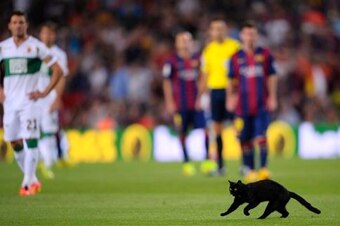 The Camp Nou cat showed a clean pair of paws.