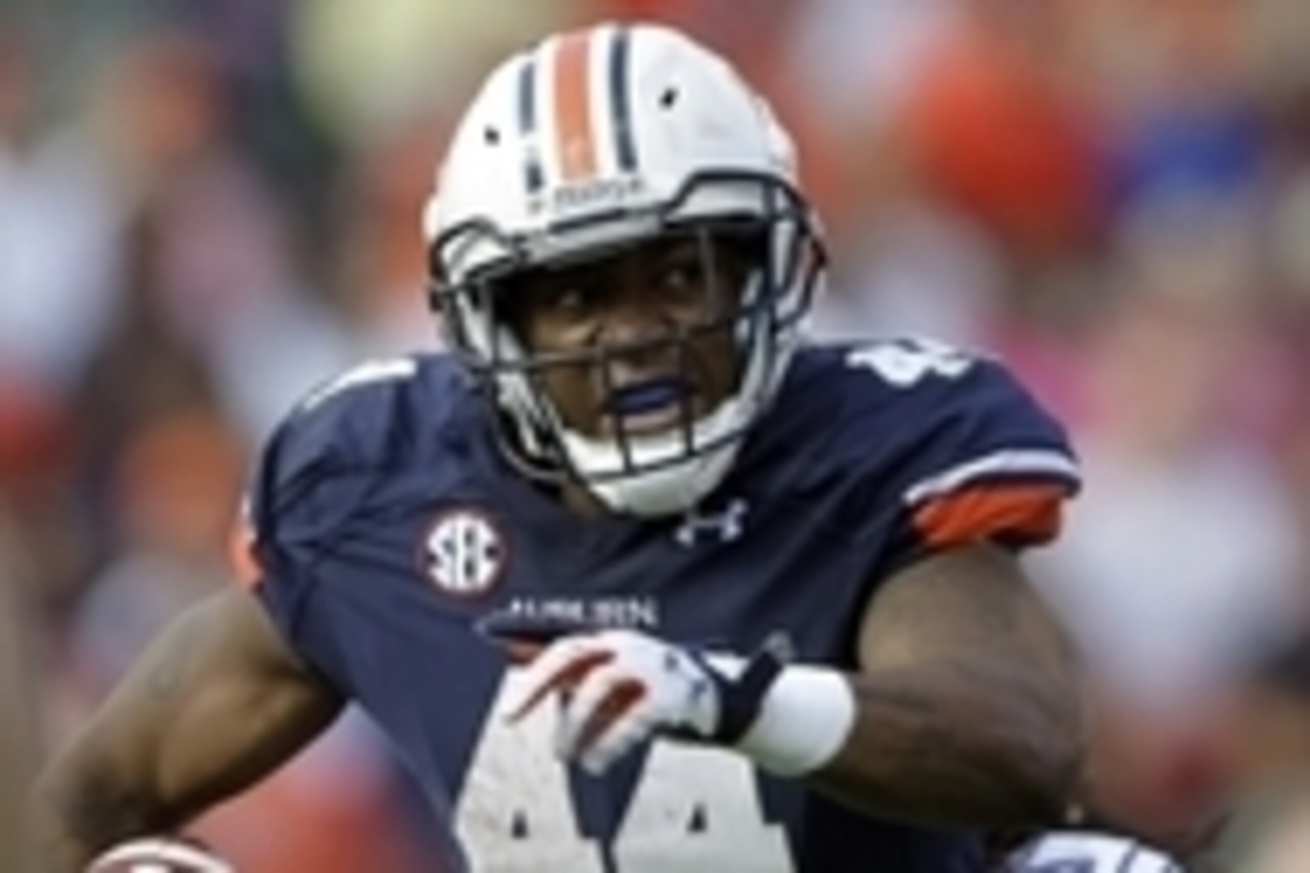Oct 12, 2013; Auburn, AL, USA; Auburn Tigers running back Cameron Artis-Payne (44) carries against the Western Carolina Catamounts during the second half at Jordan Hare Stadium.  The Tigers beat the Catamounts 62-3.  Mandatory Credit: John Reed-USA TODAY 
