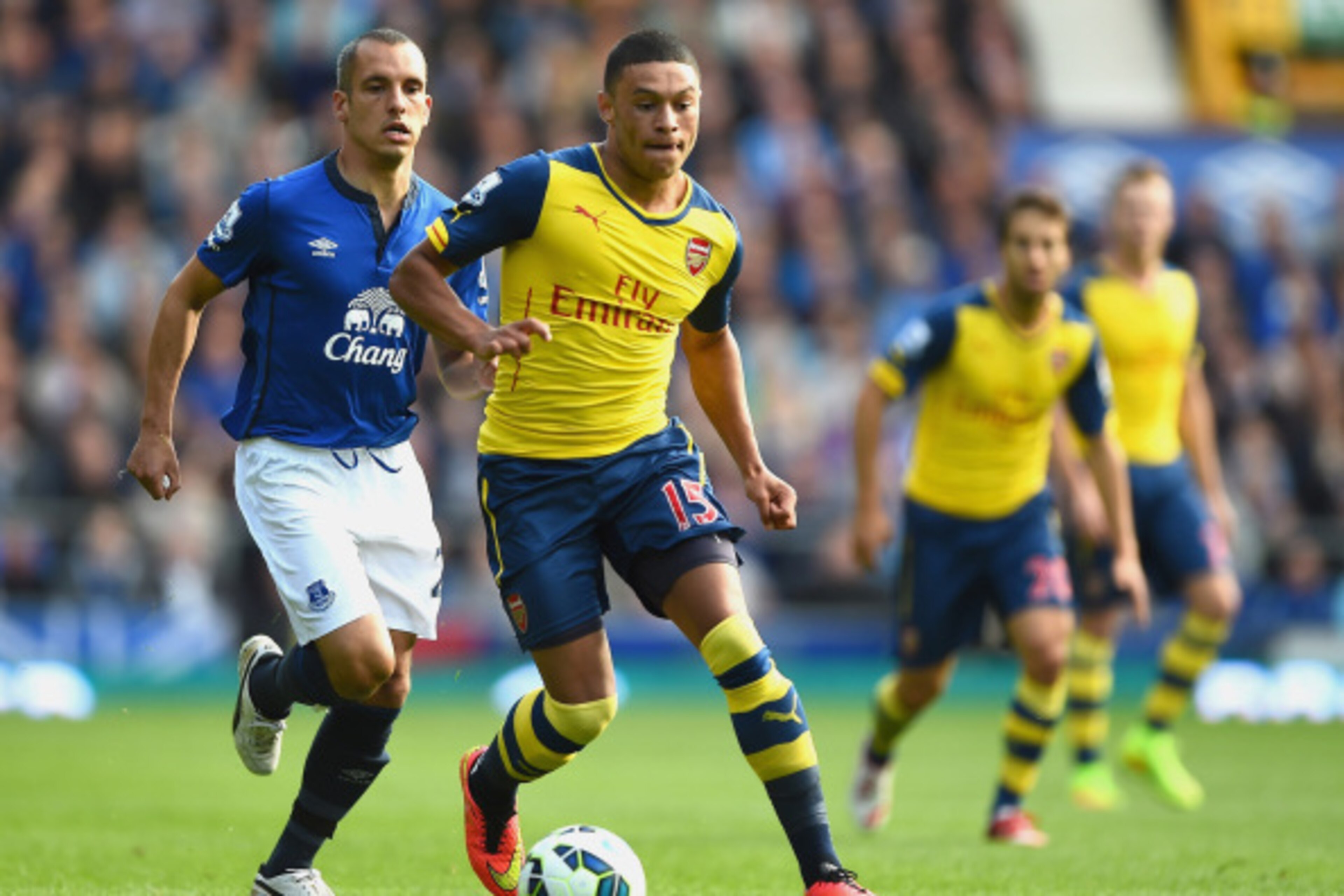 LIVERPOOL, ENGLAND - AUGUST 23:  Alex Oxlade-Chamberlain of Arsenal  in action with Leon Osman of Everton during the Barclays Premier League match between Everton and Arsenal at Goodison Park on August 23, 2014 in Liverpool, England.  (Photo by Laurence G