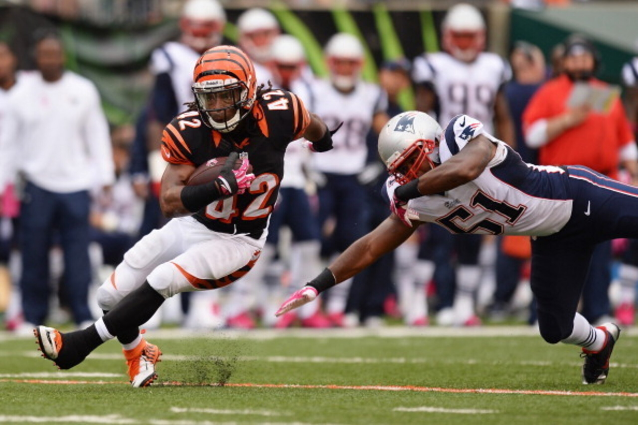 CINCINNATI, OH - OCTOBER 6: BenJarvus Green-Ellis #42 of the Cincinnati Bengals breaks a tackle attempt from Jerod Mayo #51 of the New England Patriots in the first quarter while gaining yardage at Paul Brown Stadium on October 6, 2013 in Cincinnati, Ohi CINCINNATI, OH - OCTOBER 6: BenJarvus Green-Ellis #42 of the Cincinnati Bengals breaks a tackle attempt from Jerod Mayo #51 of the New England Patriots in the first quarter while gaining yardage at Paul Brown Stadium on October 6, 2013 in Cincinnati, Ohi