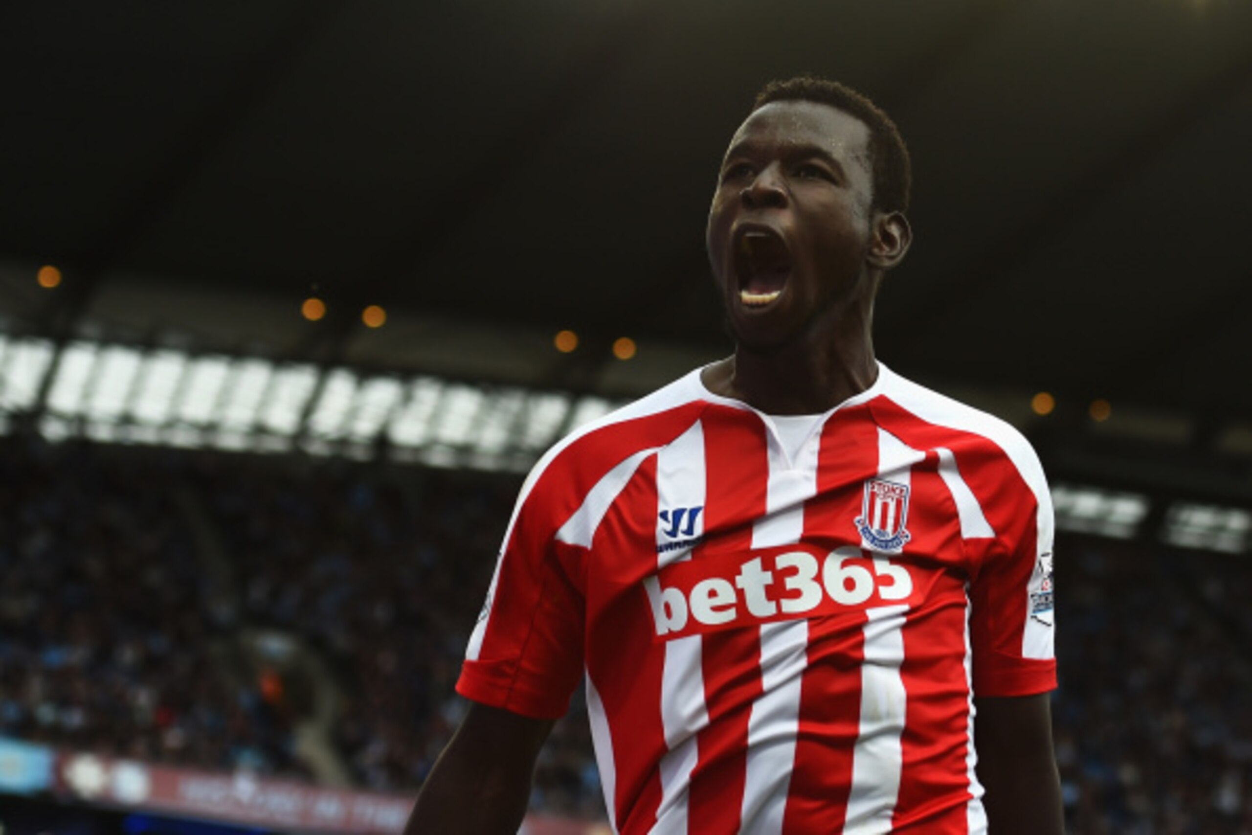 MANCHESTER, ENGLAND - AUGUST 30:  Mame Biram Diouf of Stoke City celebrates scoring the opening goal during the Barclays Premier League match between Manchester City and Stoke City at Etihad Stadium on August 30, 2014 in Manchester, England.  (Photo by Sh