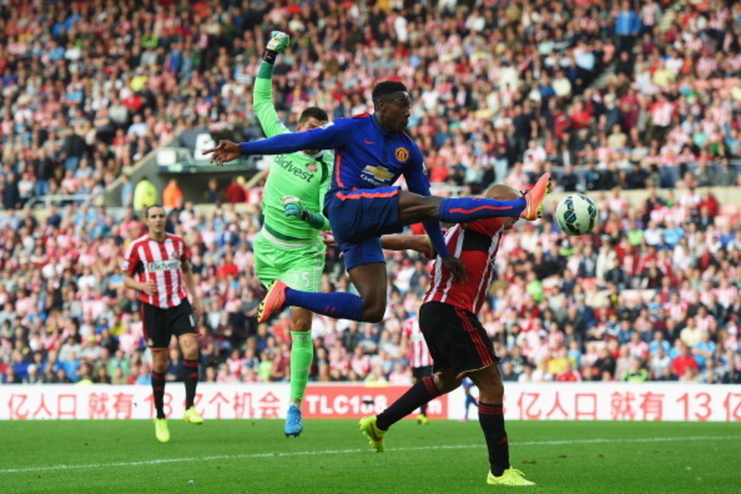 SUNDERLAND, ENGLAND - AUGUST 24: Danny Welbeck of Manchester United attempts to control the ball during the Barclays Premier League match between Sunderland and Manchester United at Stadium of Light on August 24, 2014 in Sunderland, England.  (Photo by Mi