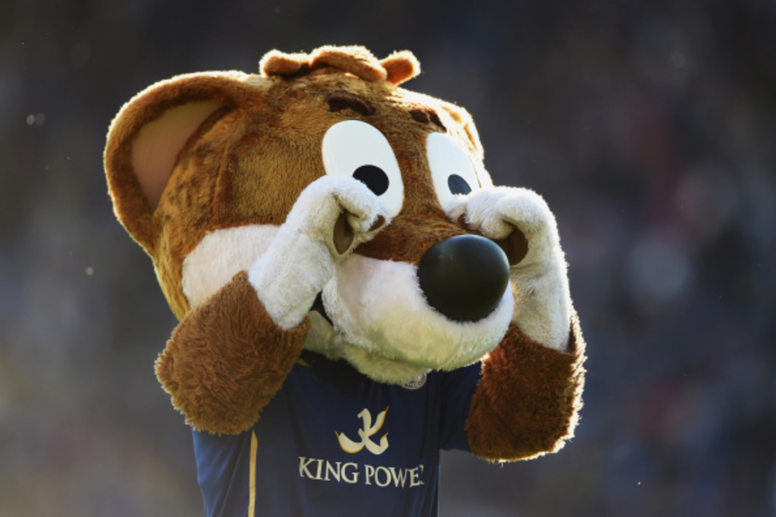 LEICESTER, ENGLAND - AUGUST 31:  Filbert Fox, the Leicester City mascot is seen during the Barclays Premier League match between Leicester City and Arsenal at The King Power Stadium on August 31, 2014 in Leicester, England.  (Photo by Laurence Griffiths/G