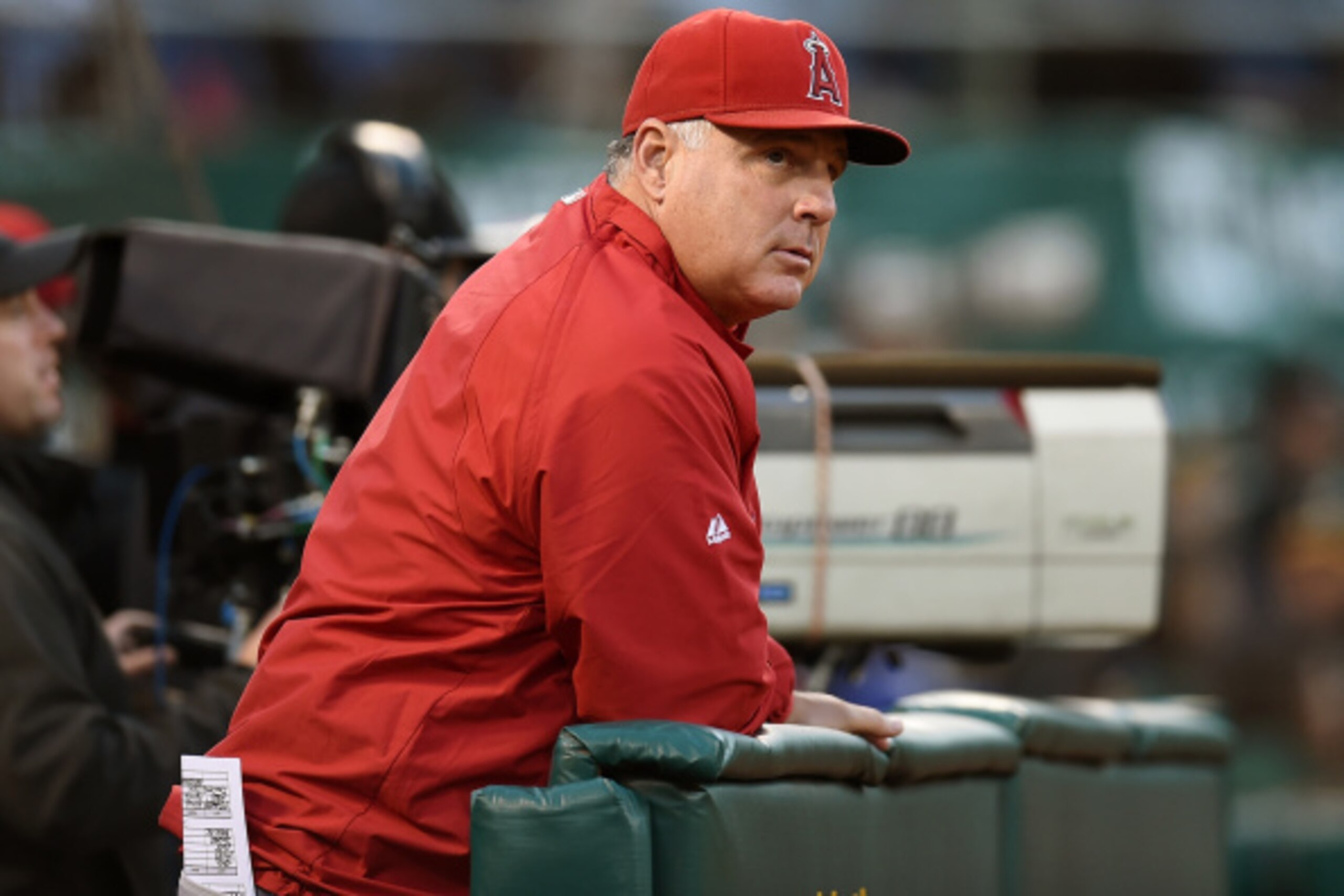 OAKLAND, CA - AUGUST 23:  Manager Mike Scioscia #14 of the Los Angeles Angels of Anaheim looks on from the end of the dugout against the Oakland Athletics in the top of the six inning at O.co Coliseum on August 23, 2014 in Oakland, California.  (Photo by 