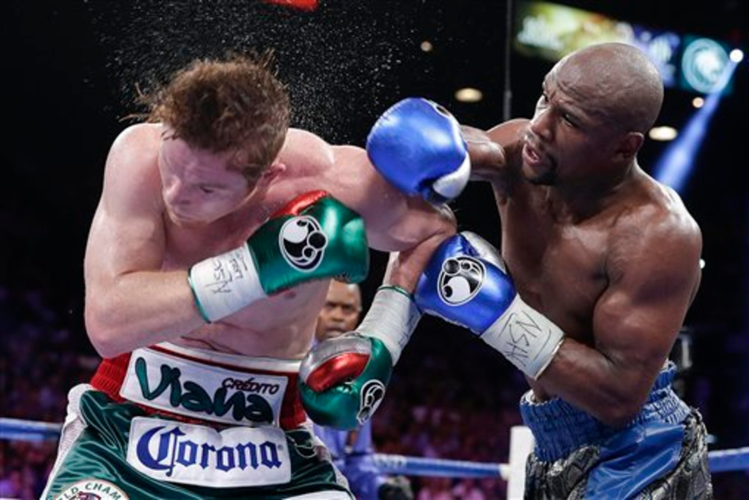 Seeing Mayweather defeat Alvarez didn't come cheap.