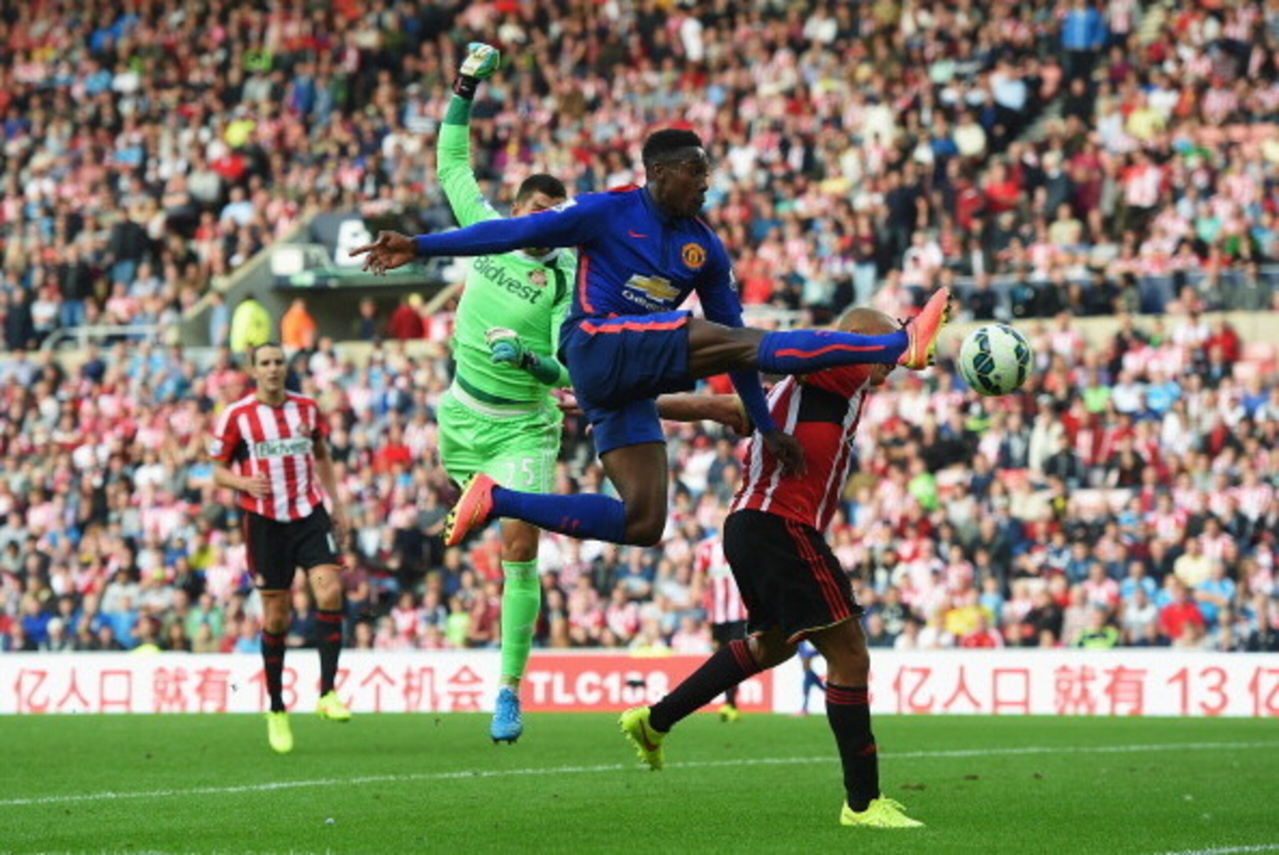 SUNDERLAND, ENGLAND - AUGUST 24: Danny Welbeck of Manchester United attempts to control the ball during the Barclays Premier League match between Sunderland and Manchester United at Stadium of Light on August 24, 2014 in Sunderland, England. (Photo by Mi SUNDERLAND, ENGLAND - AUGUST 24: Danny Welbeck of Manchester United attempts to control the ball during the Barclays Premier League match between Sunderland and Manchester United at Stadium of Light on August 24, 2014 in Sunderland, England. (Photo by Mi