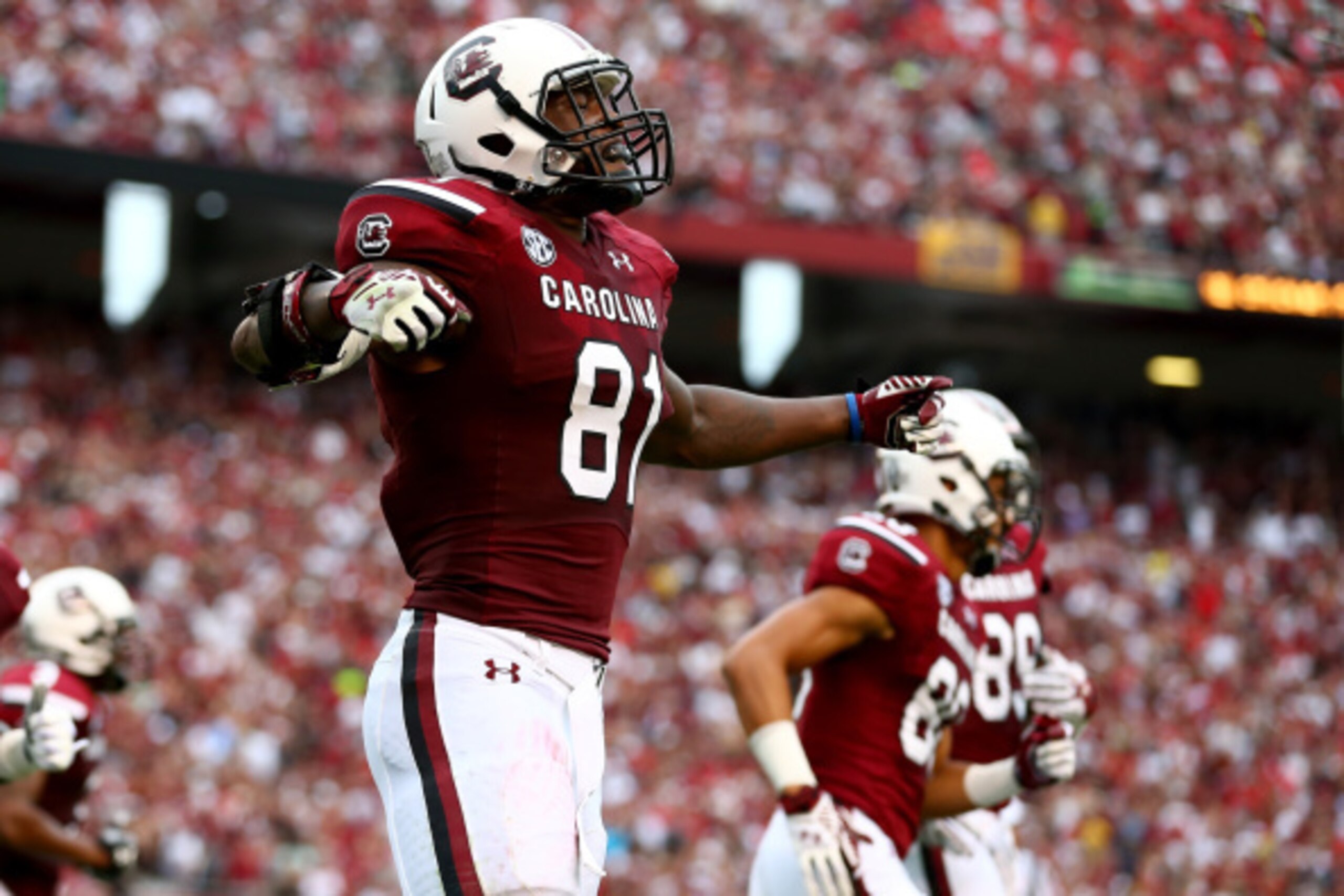 COLUMBIA, SC - SEPTEMBER 13:  Rory Anderson #81 of the South Carolina Gamecocks reacts after catching a touchdown against the Georgia Bulldogs during their game at Williams-Brice Stadium on September 13, 2014 in Columbia, South Carolina.  (Photo by Street
