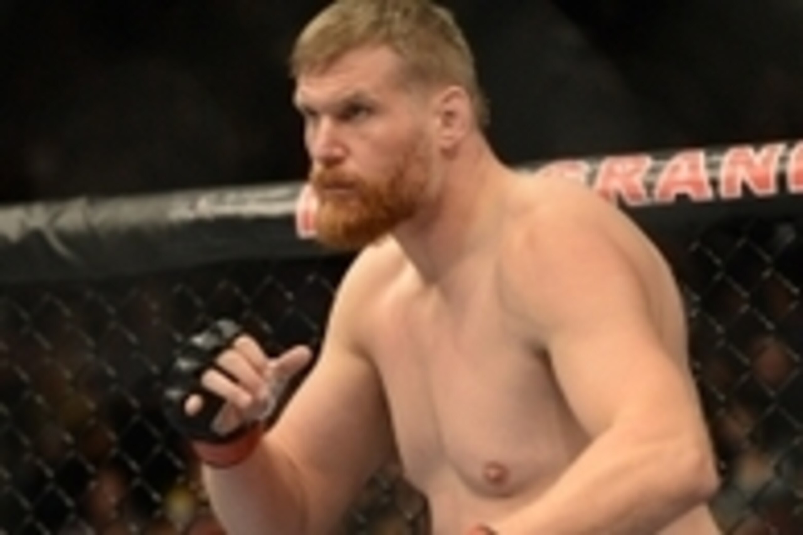 Dec 28, 2013; Las Vegas, NV, USA;    Josh Barnett during his UFC Heavyweight Bout against Travis Browne (not pictured) at the MGM Grand Garden Arena. Browne won the fight. Mandatory Credit: Jayne Kamin-Oncea-USA TODAY Sports