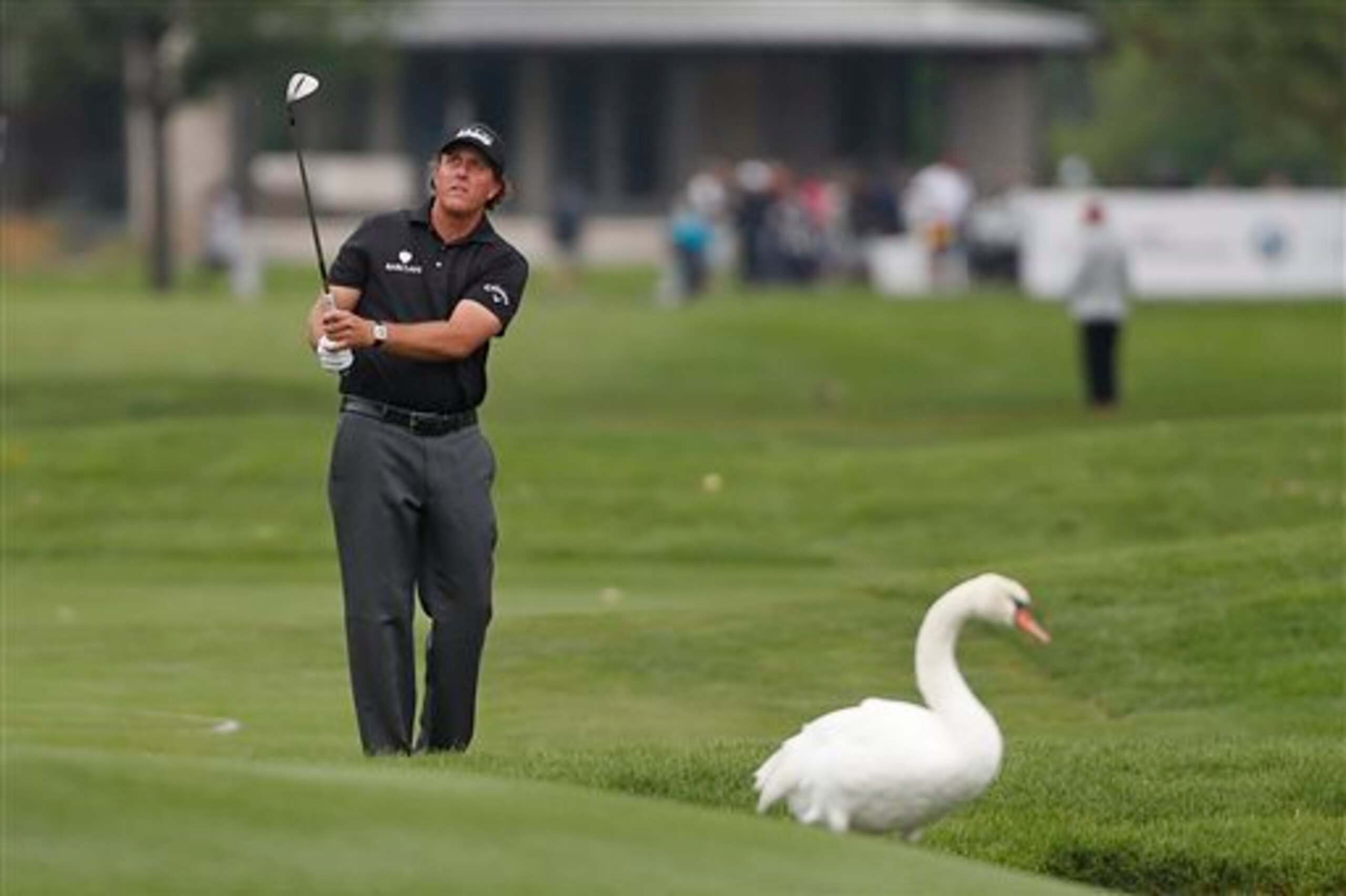 Mickelson will need to provide leadership for the Americans.