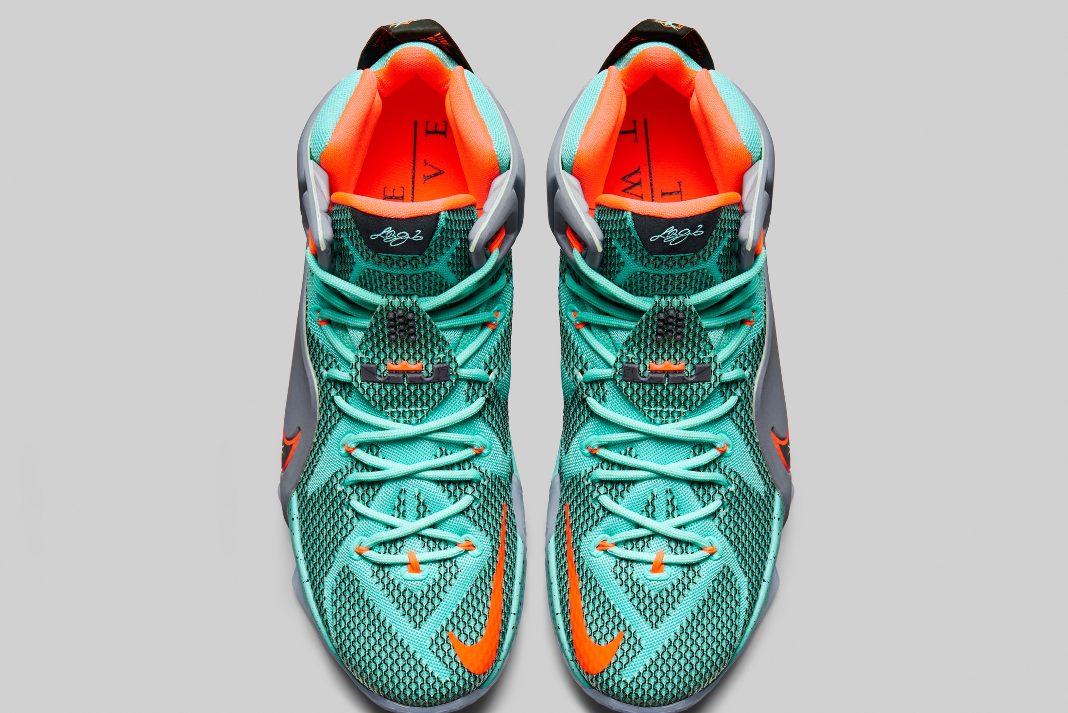 lebron 12shoes