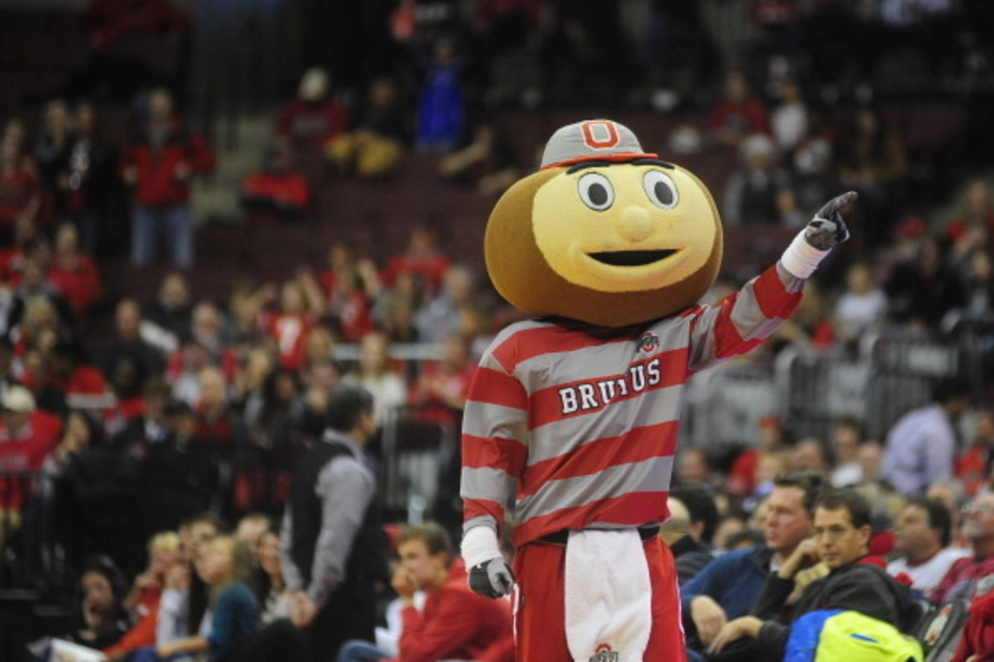 COLUMBUS, OH - DECEMBER 7: Brutus the Buckeye performs during an intermission in the game between the Central Connecticut State Blue Devils and the Ohio State Buckeyes on December 7, 2013 at Value City Arena in Columbus, Ohio.  Ohio State won by a final s