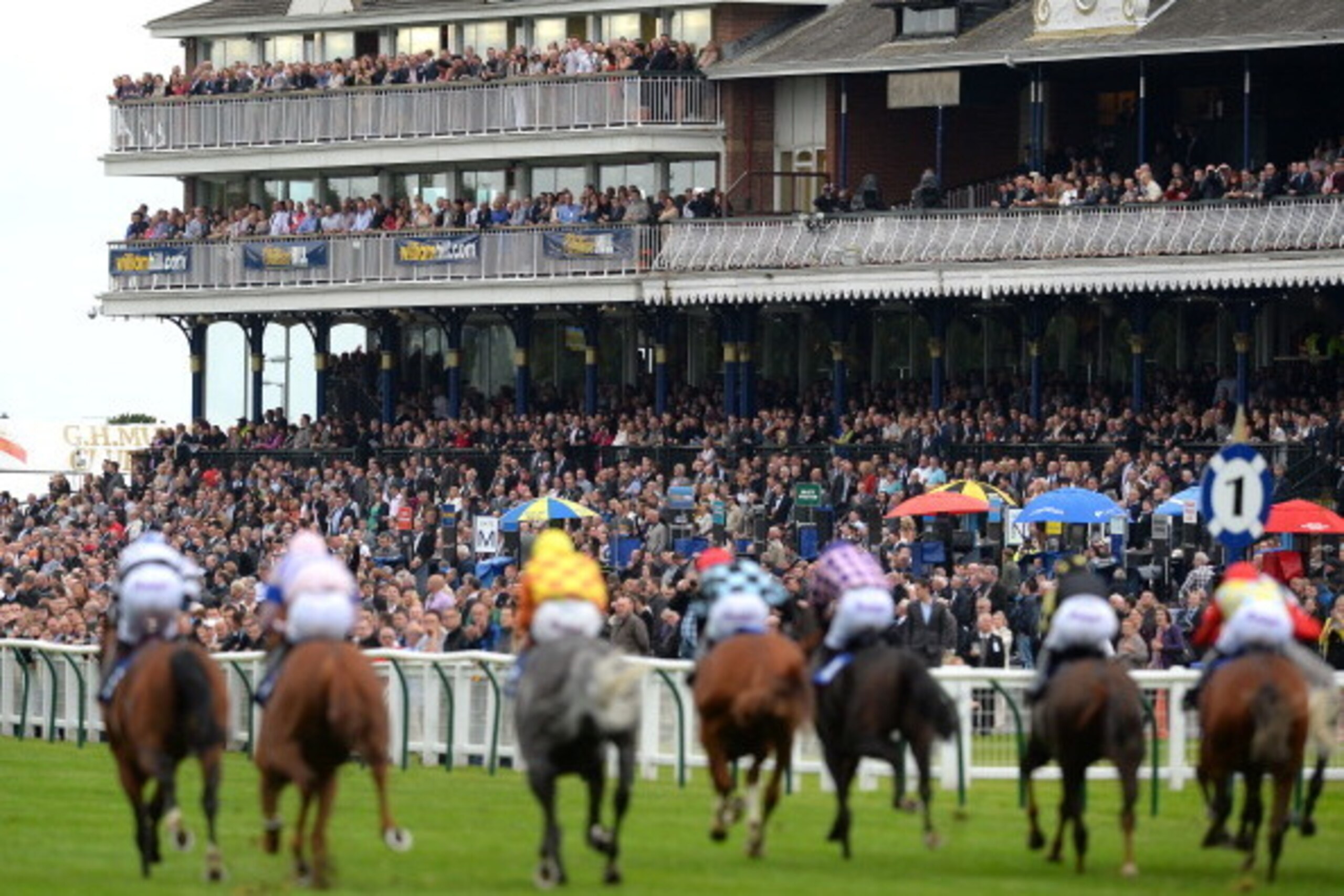 AYR, SCOTLAND - SEPTEMBER 21: The Jordan Electrics Ltd Handicap Stakes watched by a full grandstand of spectators at Ayr racecourse on September 21, 2013 in Ayr, Scotland. (Photo by Mark Runnacles/Getty Images) AYR, SCOTLAND - SEPTEMBER 21: The Jordan Electrics Ltd Handicap Stakes watched by a full grandstand of spectators at Ayr racecourse on September 21, 2013 in Ayr, Scotland. (Photo by Mark Runnacles/Getty Images)