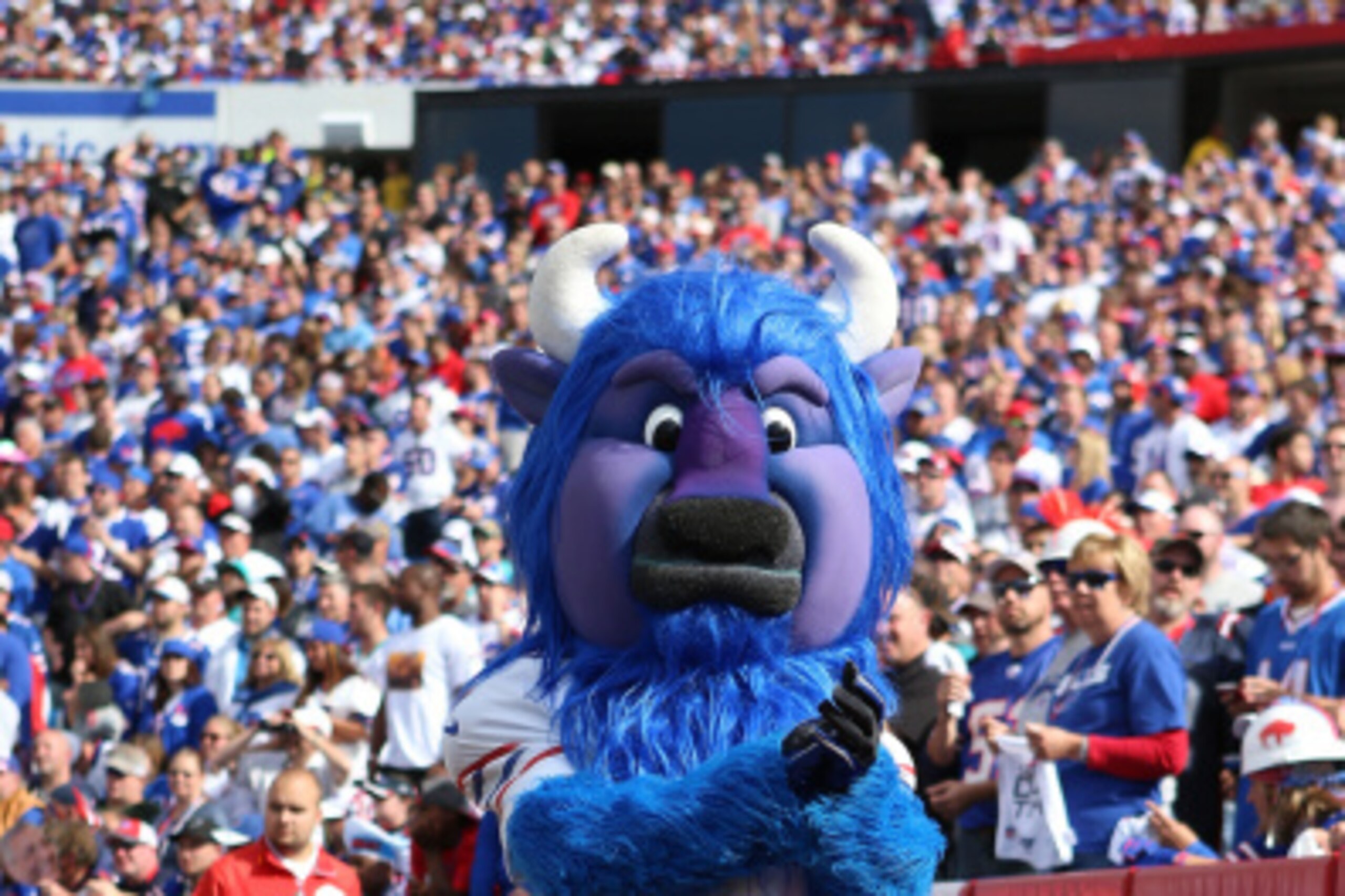 ORCHARD PARK, NY - SEPTEMBER 14:  Buffalo Bills mascot Billy Buffalo leads on the crowd against the Miami Dolphins during the second half at Ralph Wilson Stadium on September 14, 2014 in Orchard Park, New York.  (Photo by Vaughn Ridley/Getty Images)