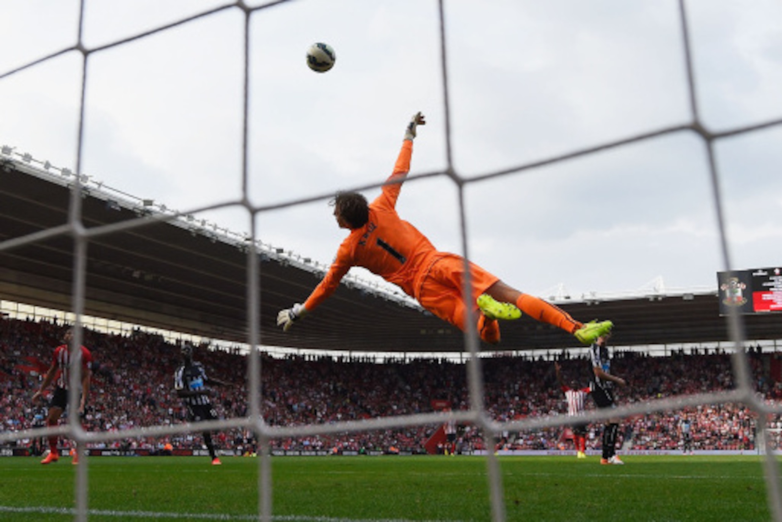 SOUTHAMPTON, ENGLAND - SEPTEMBER 13:  Tim Krul of Newcastle United dives, but fails to stop Morgan Schneiderlin of Southampton (not pictured) scoring their fourth goal during the Barclays Premier League match between Southampton and Newcastle United at St