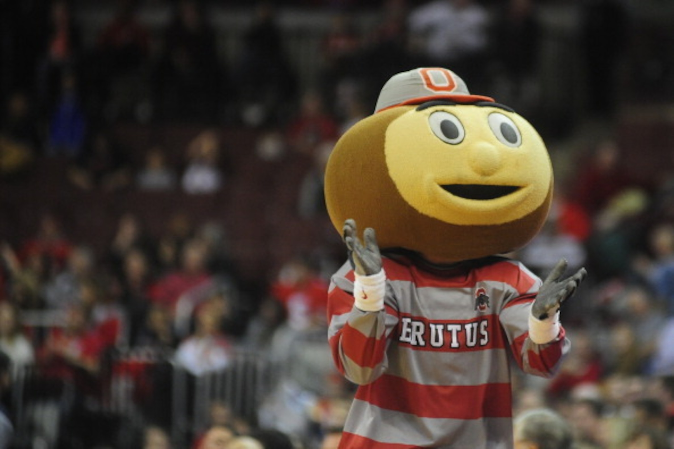 COLUMBUS, OH - DECEMBER 7: Brutus the Buckeye performs during an intermission in the game between the Central Connecticut State Blue Devils and the Ohio State Buckeyes on December 7, 2013 at Value City Arena in Columbus, Ohio.  Ohio State won by a final s