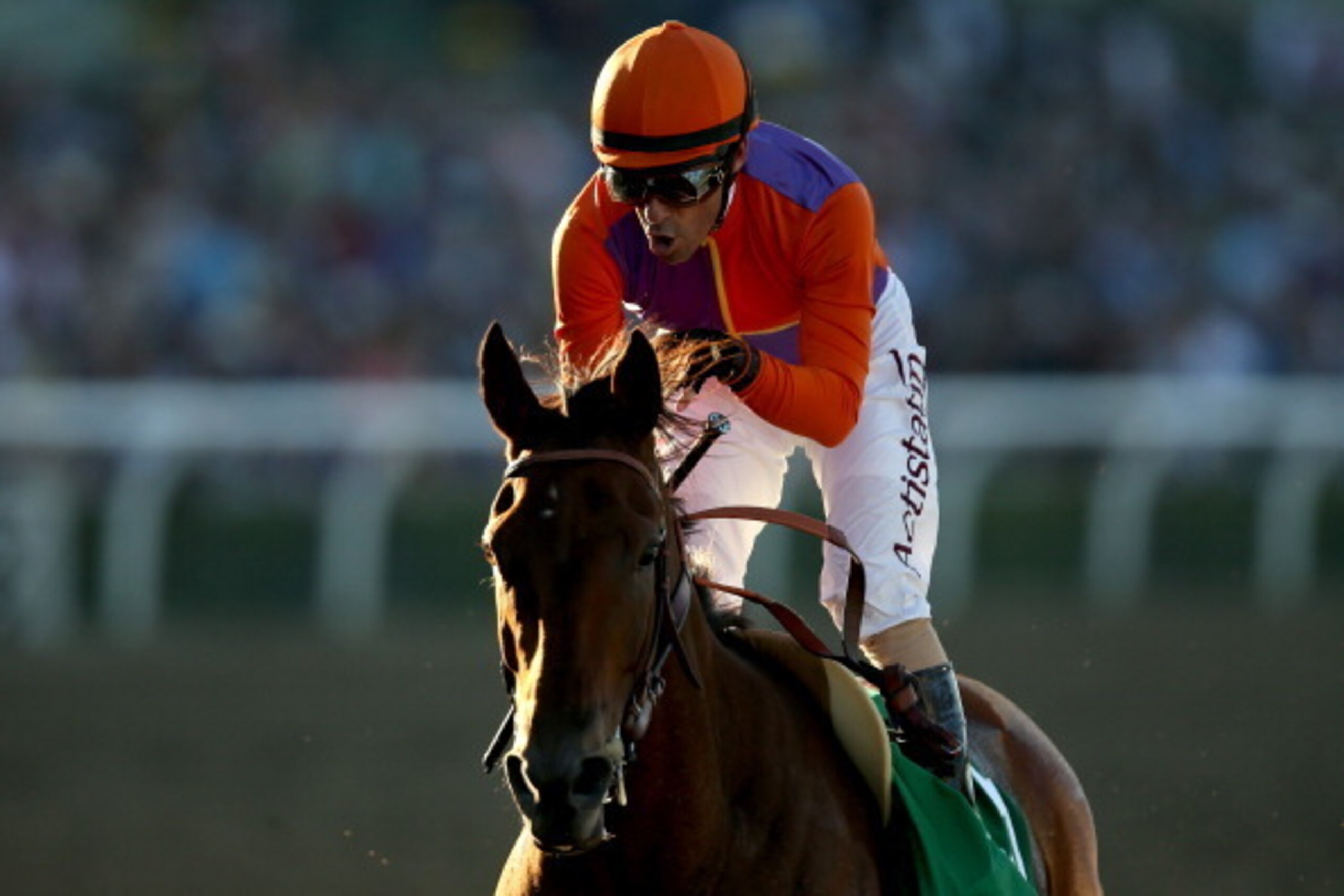 ARCADIA, CA - NOVEMBER 01:  Gary Stevens celebrates aboard Beholder after winning the Distaff during the 2013 Breeders' Cup World Championships at Santa Anita Park on November 1, 2013 in Arcadia, California.  (Photo by Matthew Stockman/Getty Images)