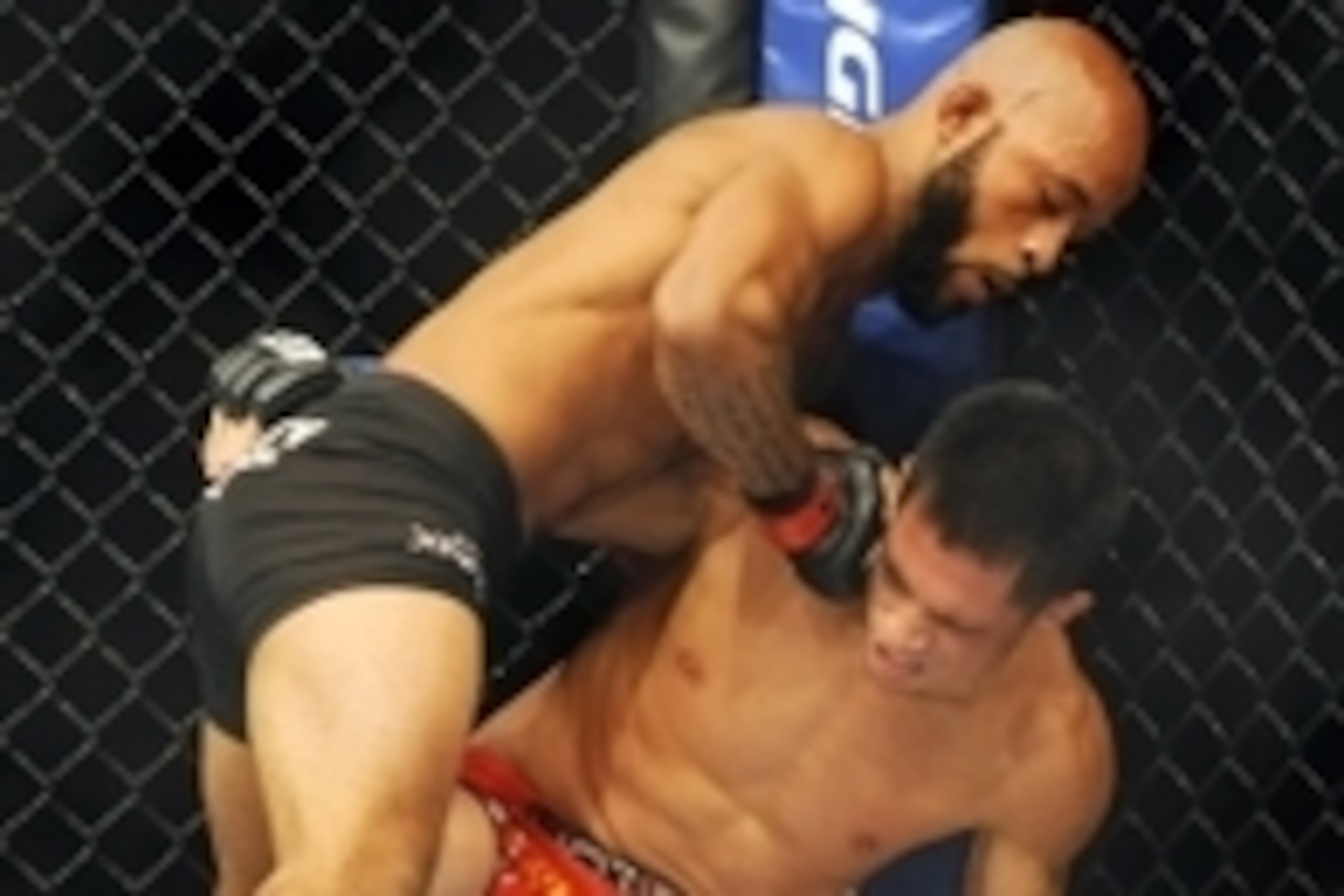 Sep 27, 2014; Las Vegas, NV, USA; Demetrious Johnson (red gloves) fights Chris Cariaso (blue gloves) during a featherweight title bout on the UFC 178 card at MGM Grand Garden Arena. Mandatory Credit: Stephen R. Sylvanie-USA TODAY Sports