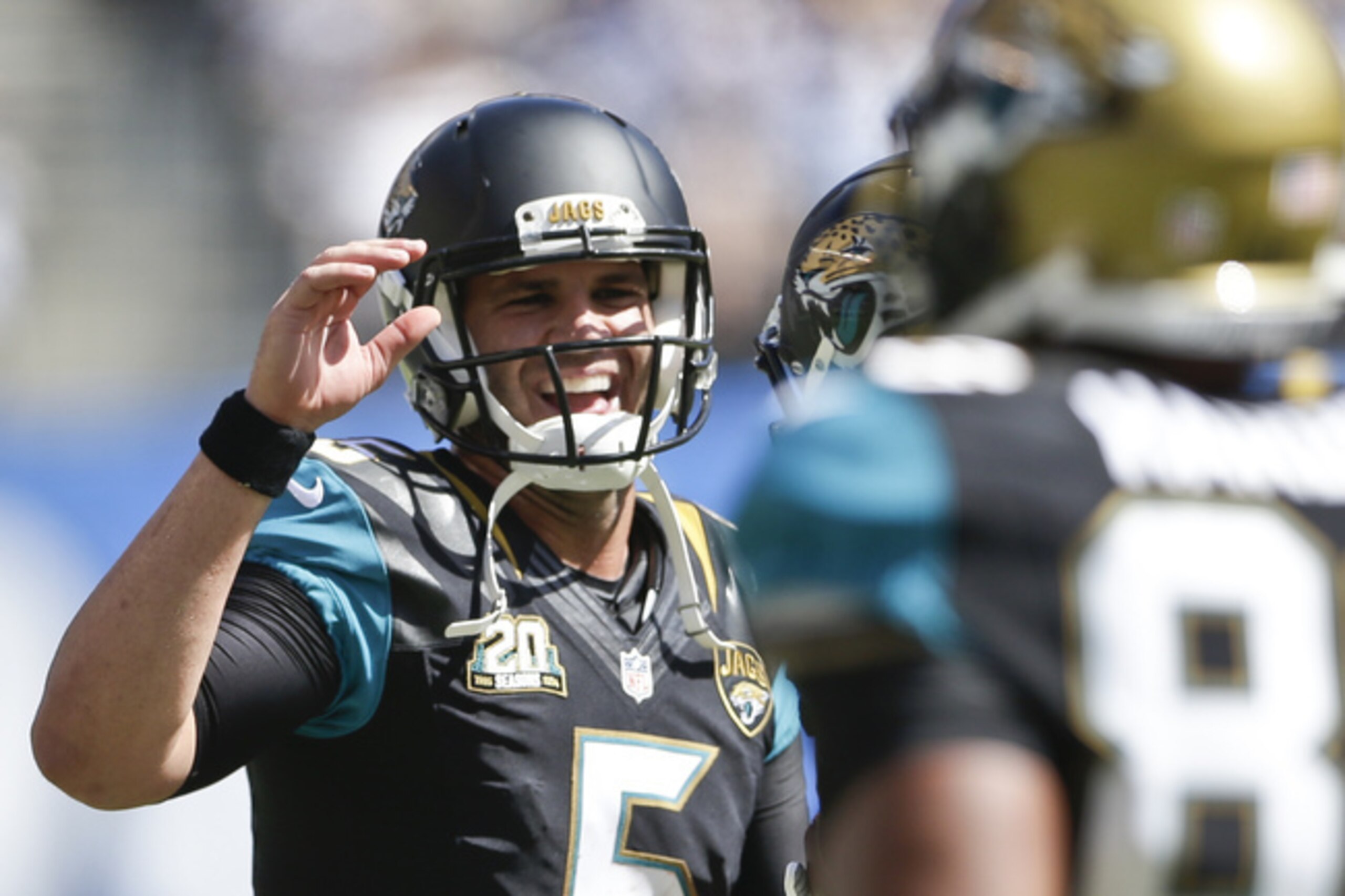 Under Dick LeBeau, the Steelers are 18-2 against rookie quarterbacks since 2004.
