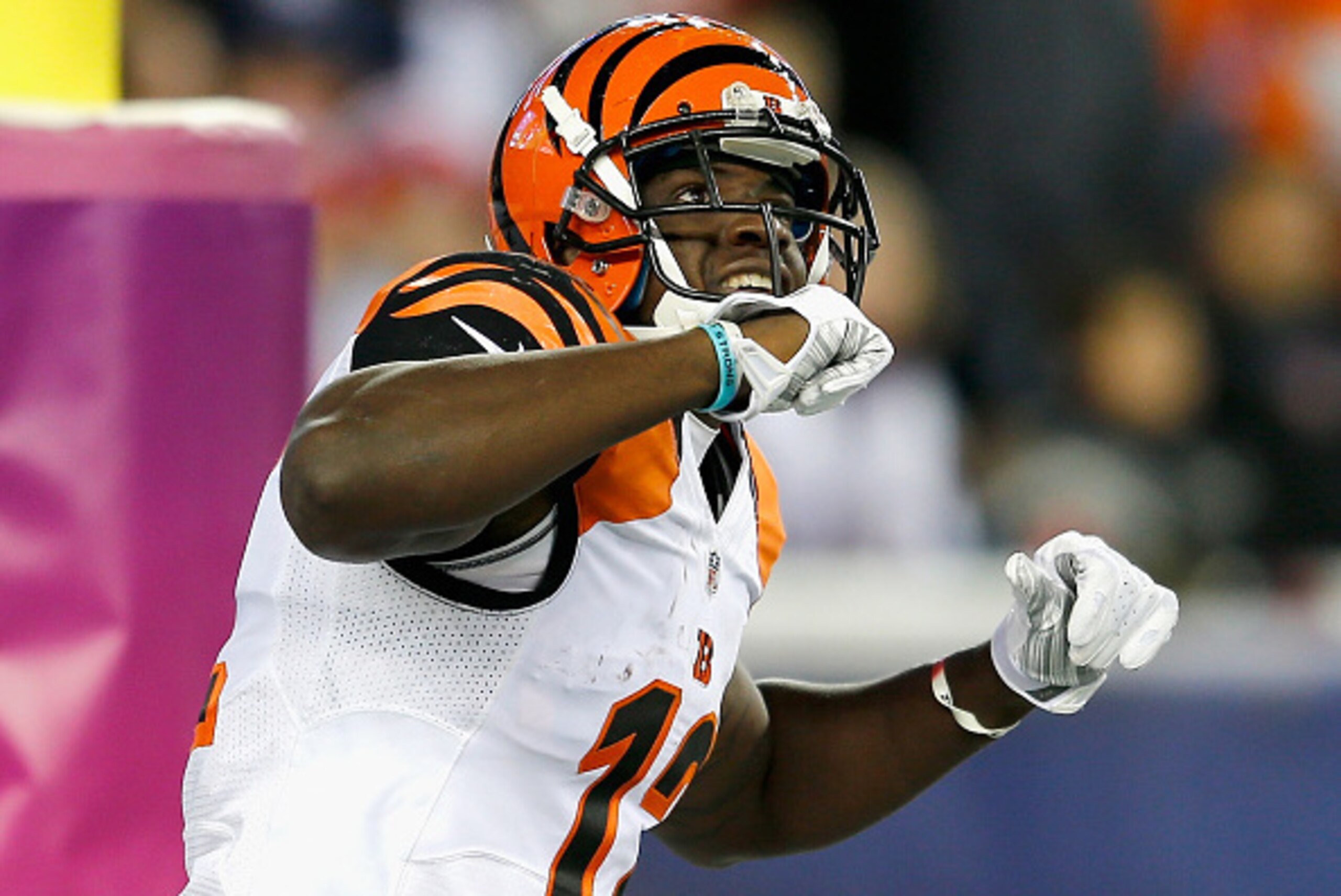 FOXBORO, MA - OCTOBER 05:  Mohamed Sanu #12 of the Cincinnati Bengals celebrates after catching a touchdown pass during the third quarter against the New England Patriots at Gillette Stadium on October 5, 2014 in Foxboro, Massachusetts.  (Photo by Jim Rog