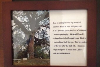 This photo and letter from Craig Biggio is framed in Caminiti's parents' home.