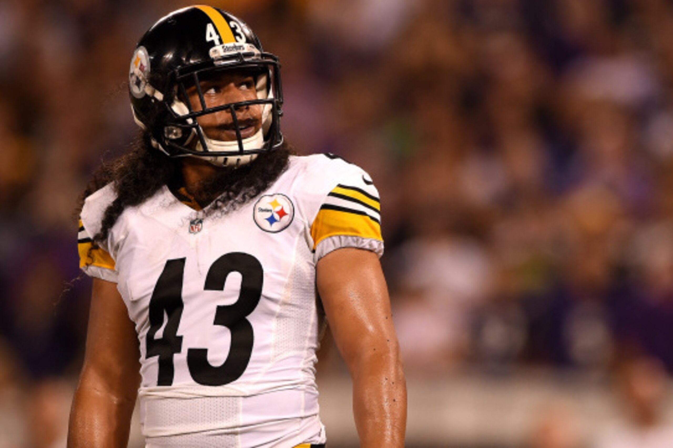 BALTIMORE, MD - SEPTEMBER 11: Strong safety Troy Polamalu #43 of the Pittsburgh Steelers looks on in the fourth quarter against the Baltimore Ravens at M&T Bank Stadium on September 11, 2014 in Baltimore, Maryland. (Photo by Patrick Smith/Getty Images)