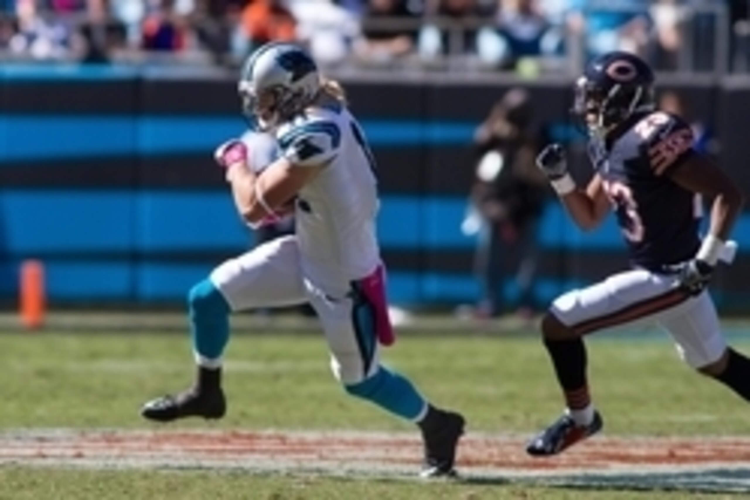 Oct 5, 2014; Charlotte, NC, USA; Carolina Panthers wide receiver Brenton Bersin (11) runs after making a catch during the third quarter against the Chicago Bears at Bank of America Stadium. The Panthers defeated the Bears 31-24. Mandatory Credit: Jeremy B
