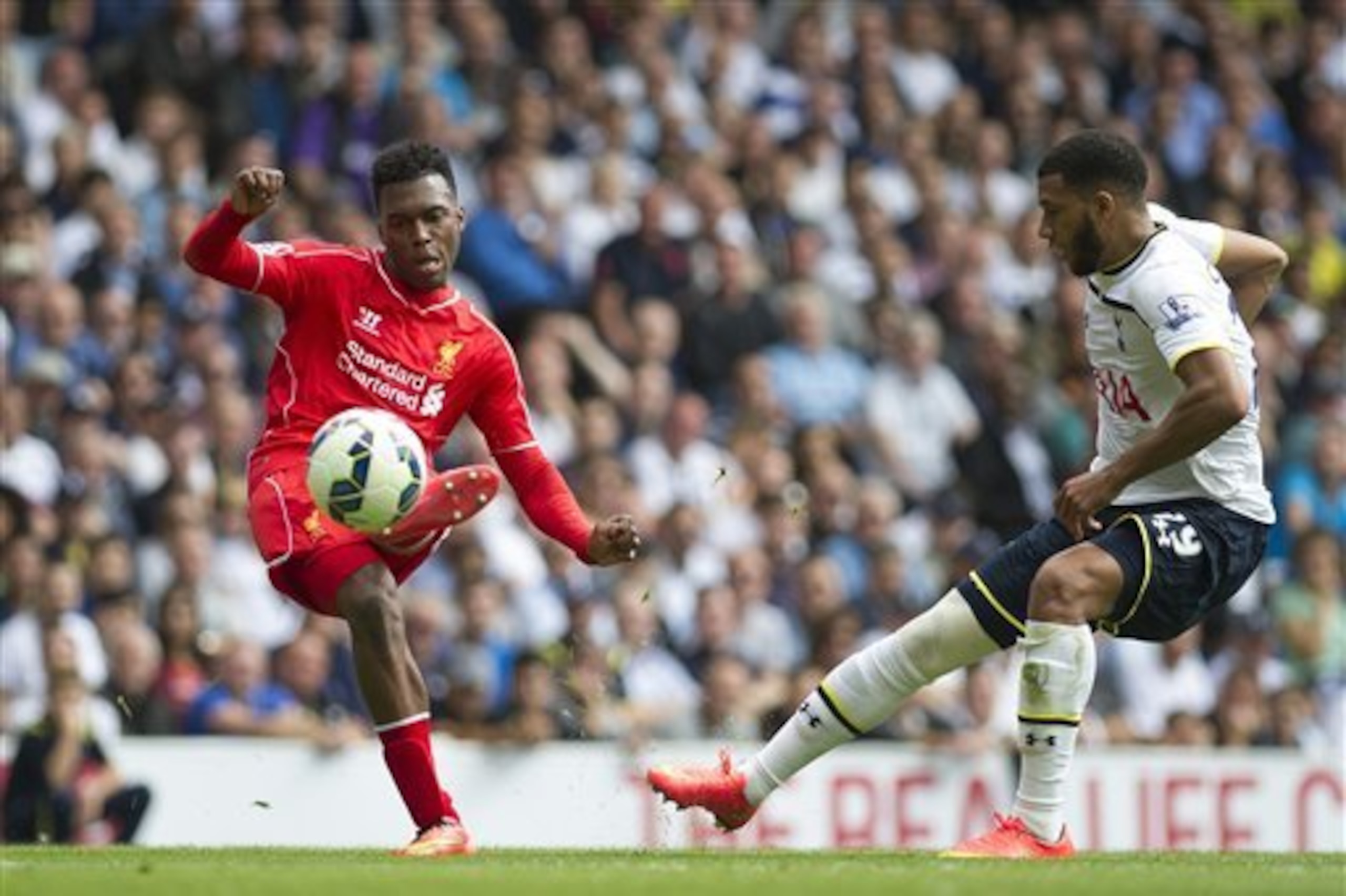 Capoue struggled to get near the likes of Daniel Sturridge as Spurs lost 3-0 to Liverpool earlier this season.