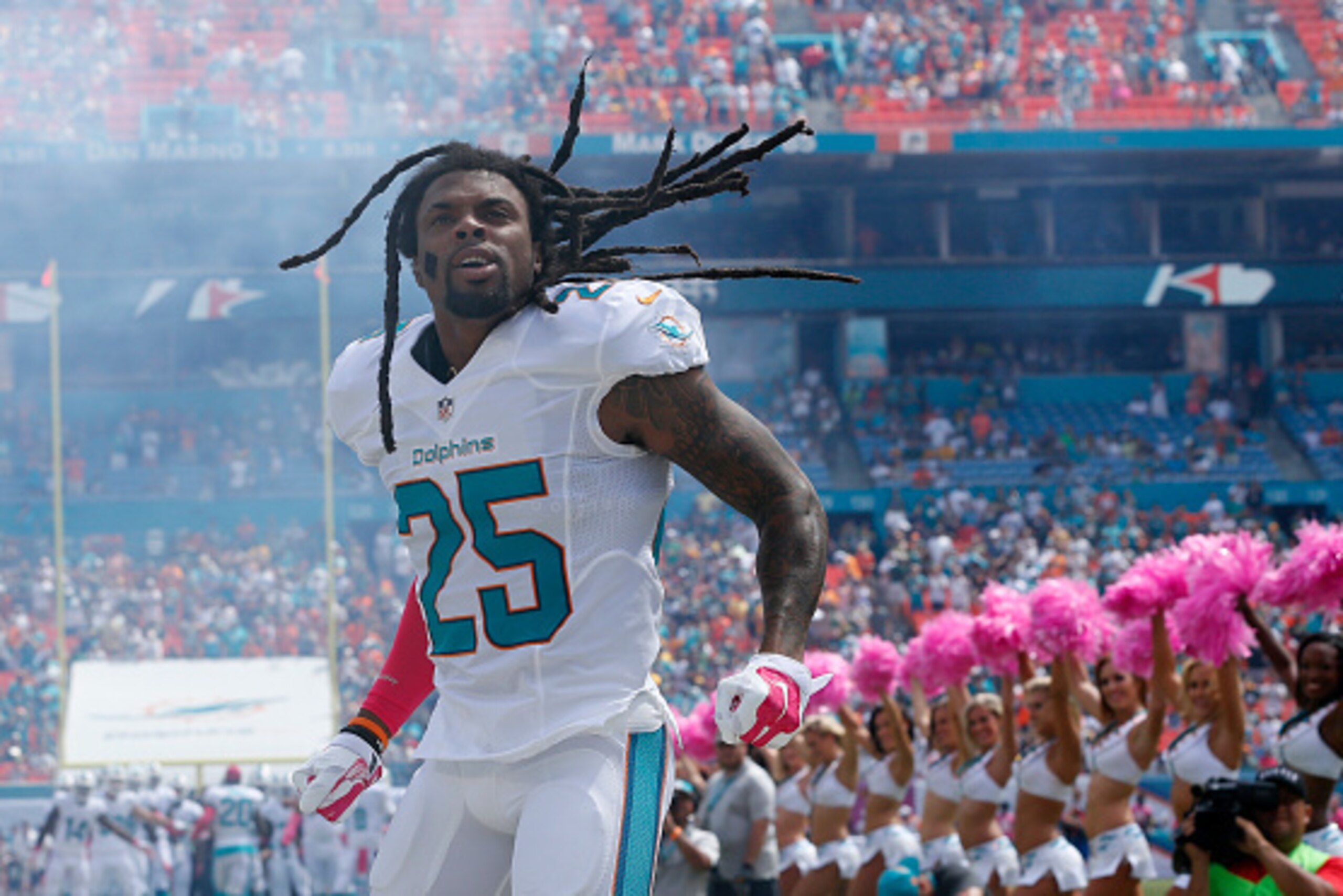 MIAMI GARDENS, FL - OCTOBER 12:  Safety Louis Delmas #25 of the Miami Dolphins  enters the field before the Dolphins met the Green Bay Packers during a game at Sun Life Stadium on October 12, 2014 in Miami Gardens, Florida.  (Photo by Joel Auerbach/Getty 