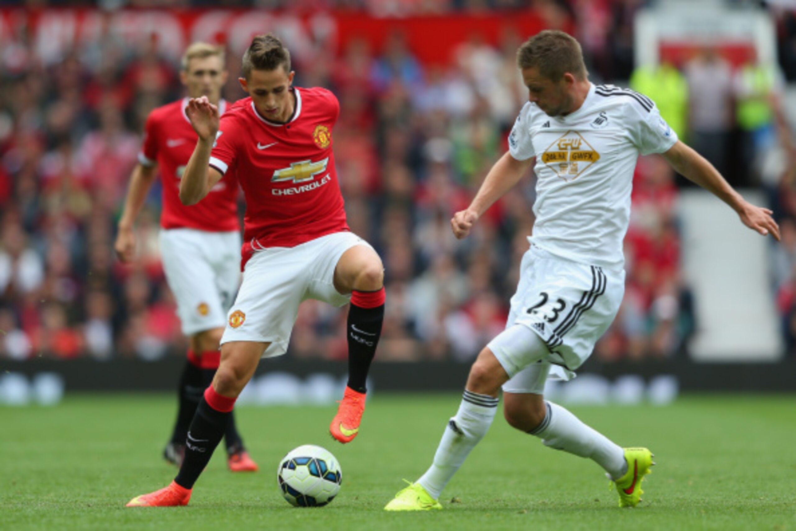MANCHESTER, ENGLAND - AUGUST 16: Adnan Januzaj of Manchester United competes with Gylfi Sigurdsson of Swansea City during the Barclays Premier League match between Manchester United and Swansea City at Old Trafford on August 16, 2014 in Manchester, Engla MANCHESTER, ENGLAND - AUGUST 16: Adnan Januzaj of Manchester United competes with Gylfi Sigurdsson of Swansea City during the Barclays Premier League match between Manchester United and Swansea City at Old Trafford on August 16, 2014 in Manchester, Engla