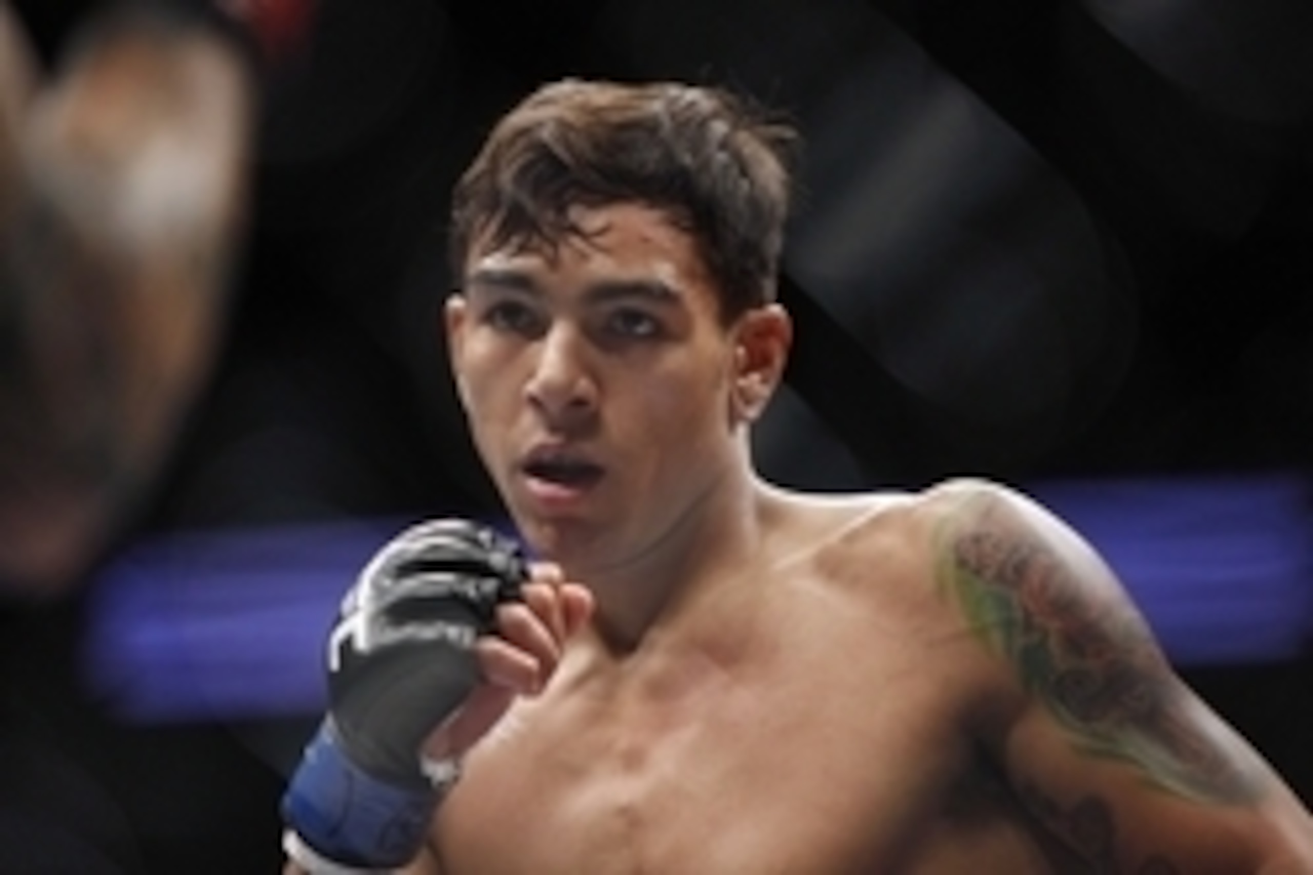 Oct 19, 2013; Houston, TX, USA; Jeremy Larsen (red gloves) fights against Andre Fili (blue gloves) in their catchweight bout during UFC 166 at Toyota Center. Mandatory Credit: Andrew Richardson-USA TODAY Sports