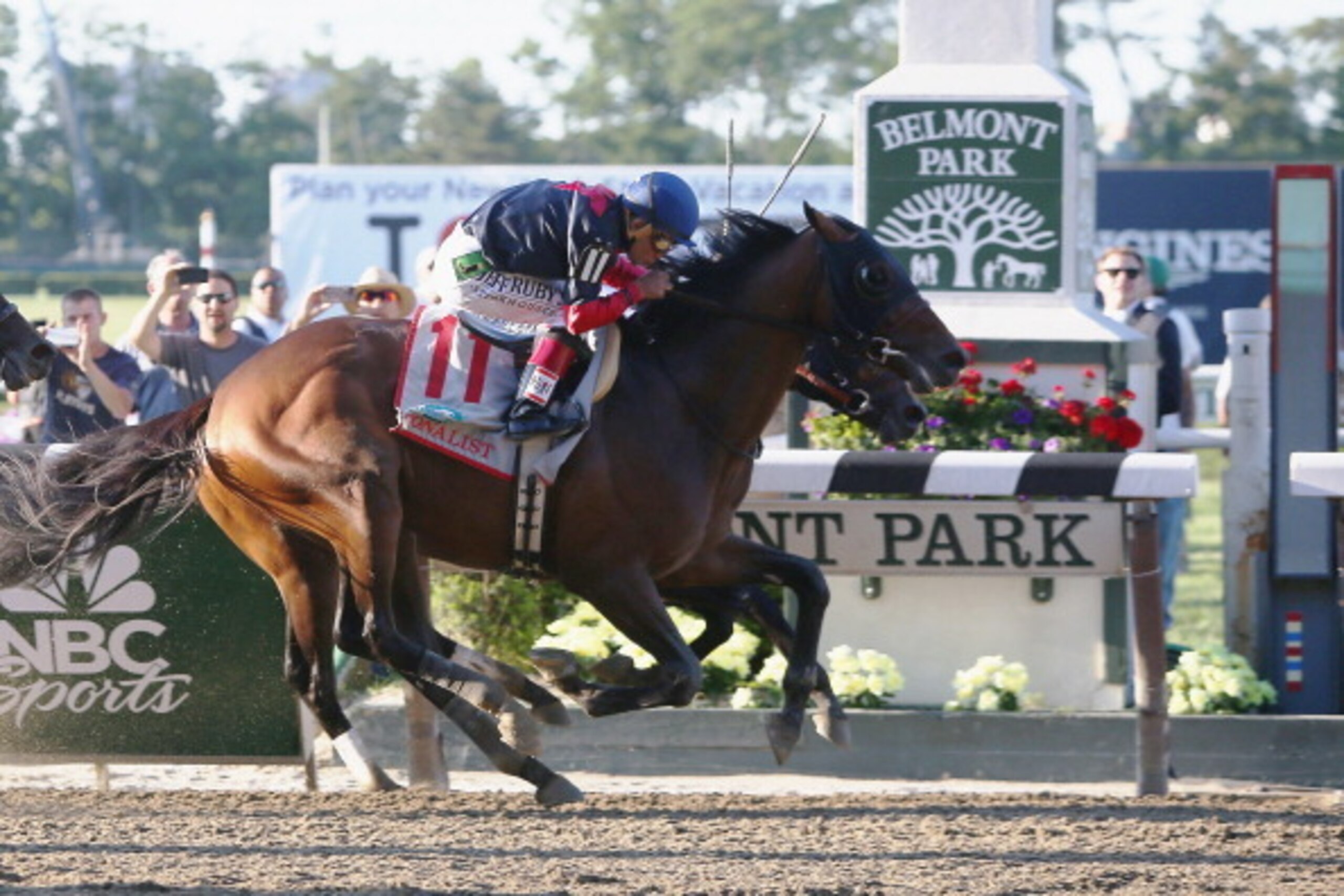 ELMONT, NY - JUNE 07:  Tonalist #11, ridden by Joel Rosario, races to the finish line enroute to winning the 146th running of the Belmont Stakes at Belmont Park on June 7, 2014 in Elmont, New York.  (Photo by Travis Lindquist/Getty Images)