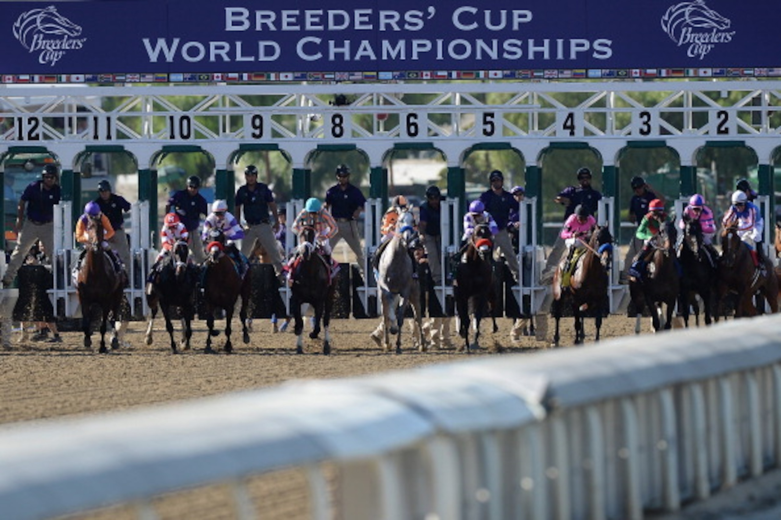 ARCADIA, CA - NOVEMBER 02:  Start of the Juvenile won by New Year's day ridden by Martin Garcia during the Breeders' Cup World Championships at Santa Anita Park on November 2, 2013 in Arcadia, California. (Photo by Harry How/Getty Images)