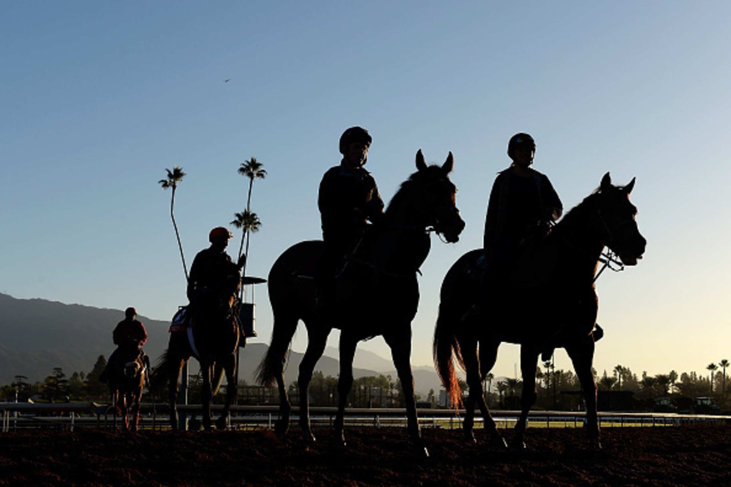 ARCADIA, CA - OCTOBER 29:  General view of training in preparation for the 2014 Breeder's Cup at Santa Anita Park on October 29, 2014 in Arcadia, California.  (Photo by Harry How/Getty Images)