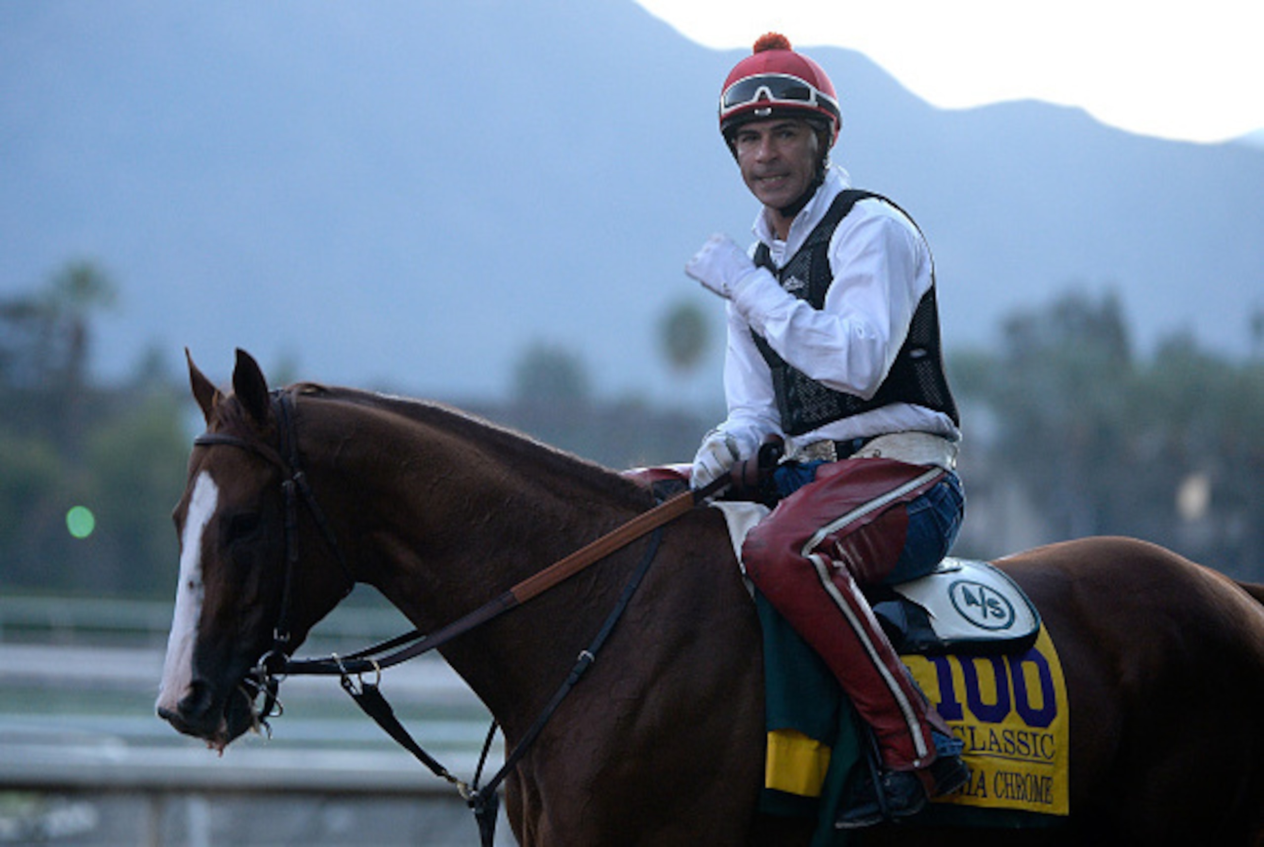 ARCADIA, CA - OCTOBER 29:  Willie Delgado leads California Chrome off the track after training in preparation for the 2014 Breeder's Cup at Santa Anita Park on October 29, 2014 in Arcadia, California.  (Photo by Harry How/Getty Images)