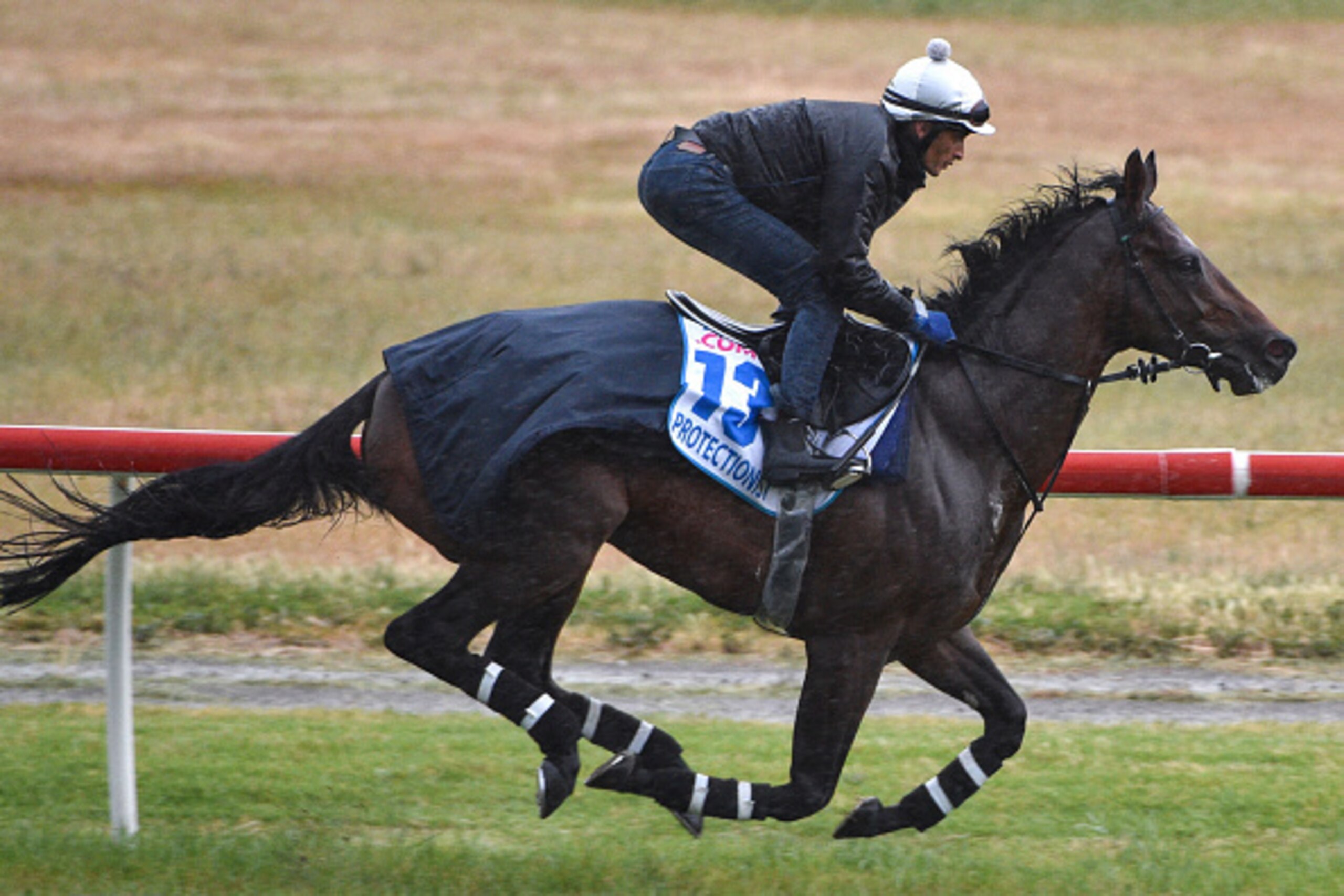 MELBOURNE, AUSTRALIA - OCTOBER 27:  Protectionist gallops during a trackwork session at Werribee Racecourse on October 27, 2014 in Melbourne, Australia.  (Photo by Vince Caligiuri/Getty Images)