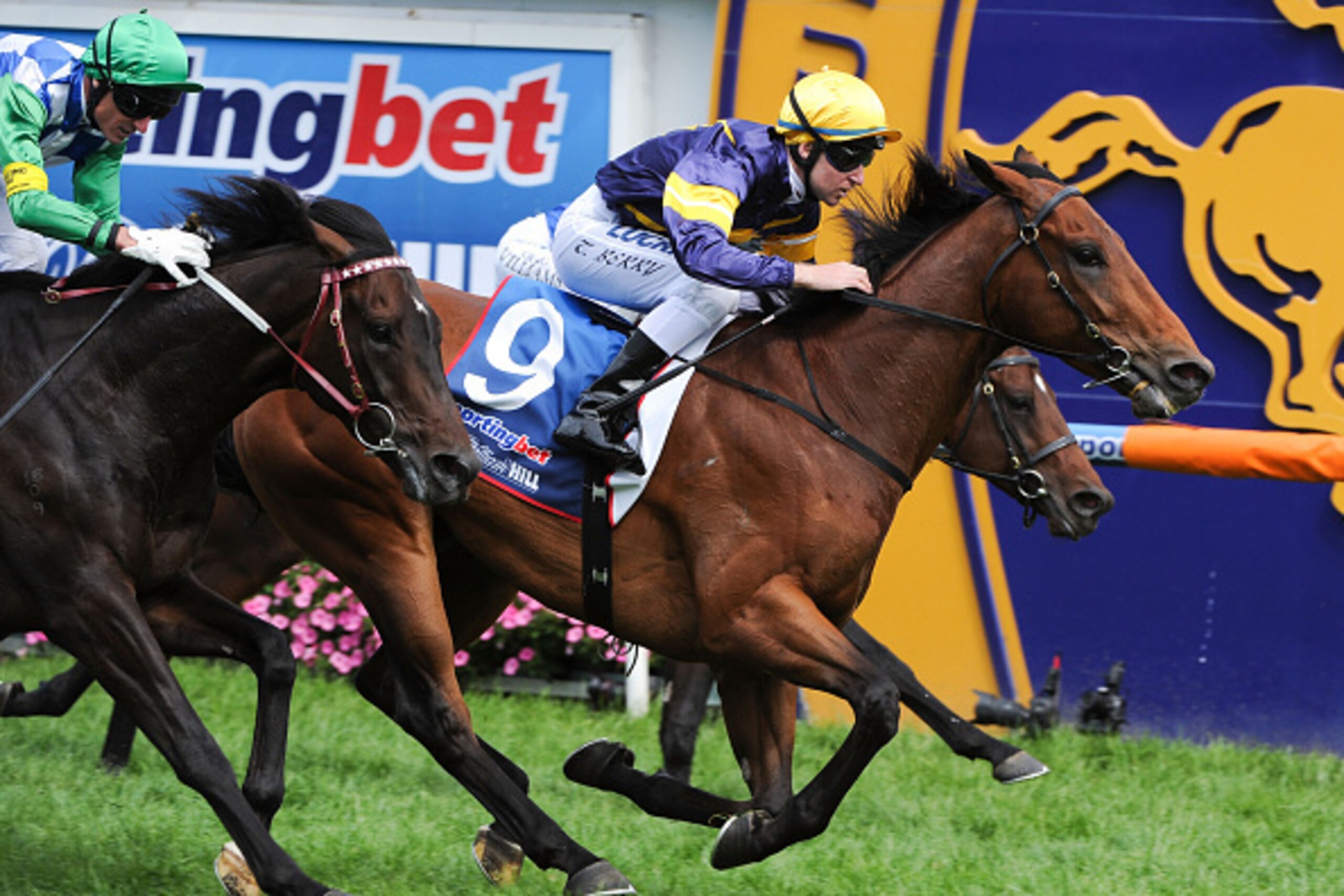 MELBOURNE, AUSTRALIA - OCTOBER 11:  Tommy Berry riding Big Memory defeats Glenn Boss riding Signoff and Craig Williams riding Protectionist (r) in Race 5, the Sportingbet Herbert Power Stakes during Caulfield Guineas Day at Caulfield Racecourse on October
