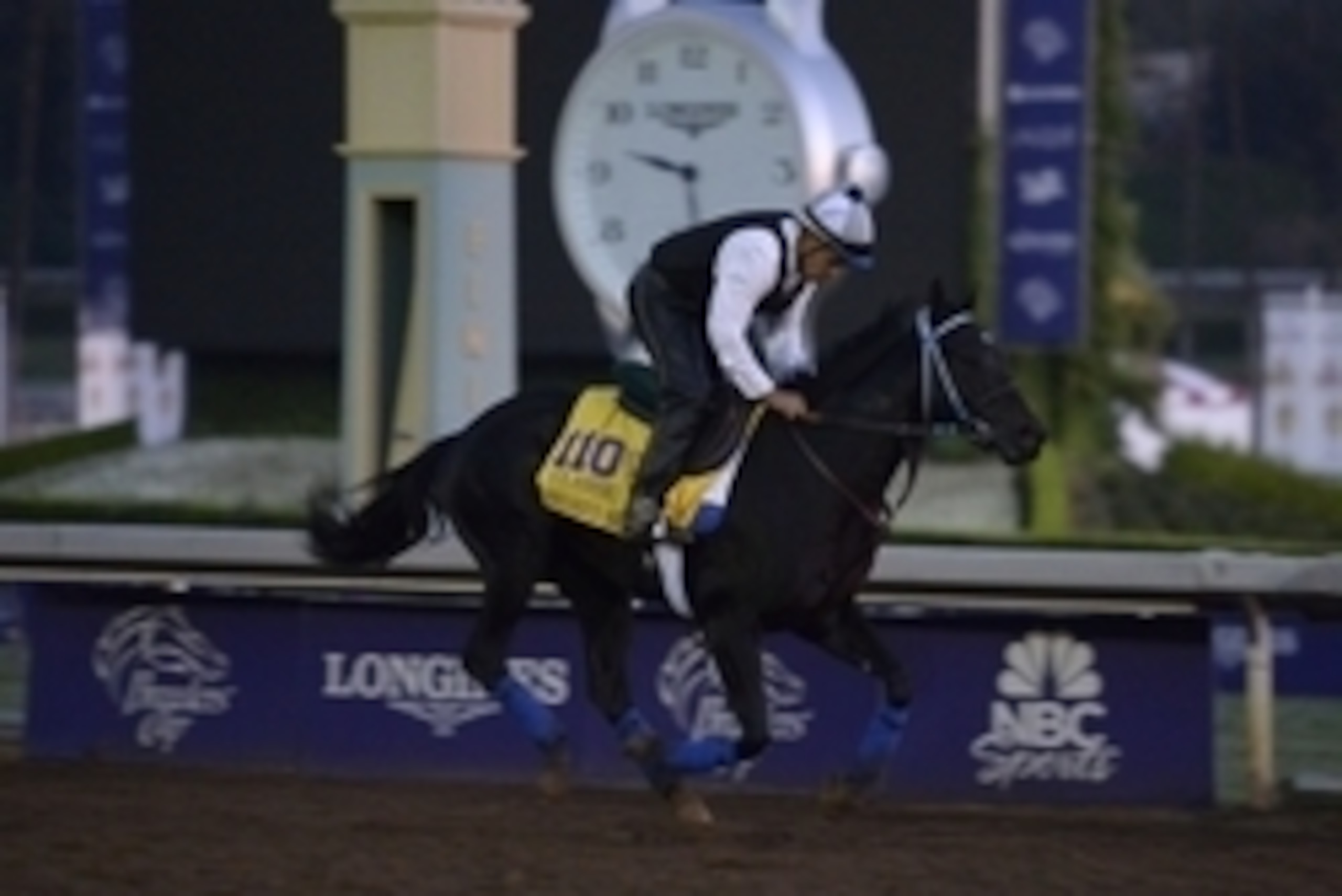 Oct 30, 2014; Santa Anita, CA, USA; Shared Belief works out in the morning to prepare for the 31st Breeders Cup World Championships at Santa Anita Park. Mandatory Credit: Richard Mackson-USA TODAY Sports