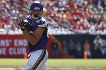 Oct 26, 2014; Tampa, FL, USA; Minnesota Vikings tight end Chase Ford (86) catches the ball against the Tampa Bay Buccaneers during the second half at Raymond James Stadium. Minnesota Vikings defeated the Tampa Bay Buccaneers 19-13. Mandatory Credit: Kim K