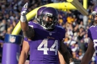 Nov 2, 2014; Minneapolis, MN, USA; Minnesota Vikings running back Matt Asiata (44) celebrates his touchdown during the fourth quarter against the Washington Redskins at TCF Bank Stadium. The Vikings defeated the Redskins 29-26. Mandatory Credit: Brace Hem