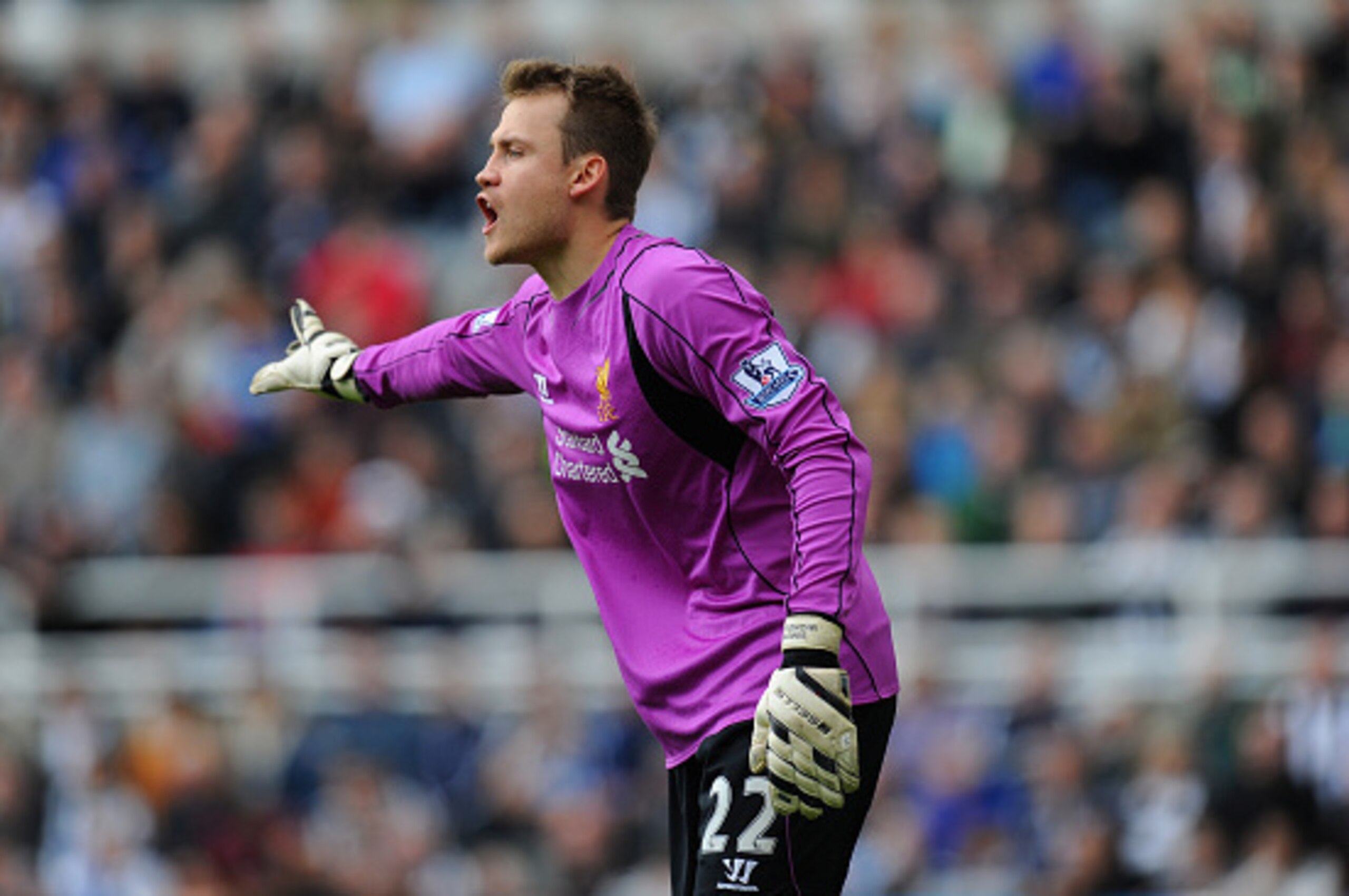 NEWCASTLE UPON TYNE, ENGLAND - NOVEMBER 01: Liverpool goalkeeper Simon Mignolet in action during the Barclays Premier League match between Newcastle United and Liverpool at St James' Park on November 1, 2014 in Newcastle upon Tyne, England.  (Photo by Stu