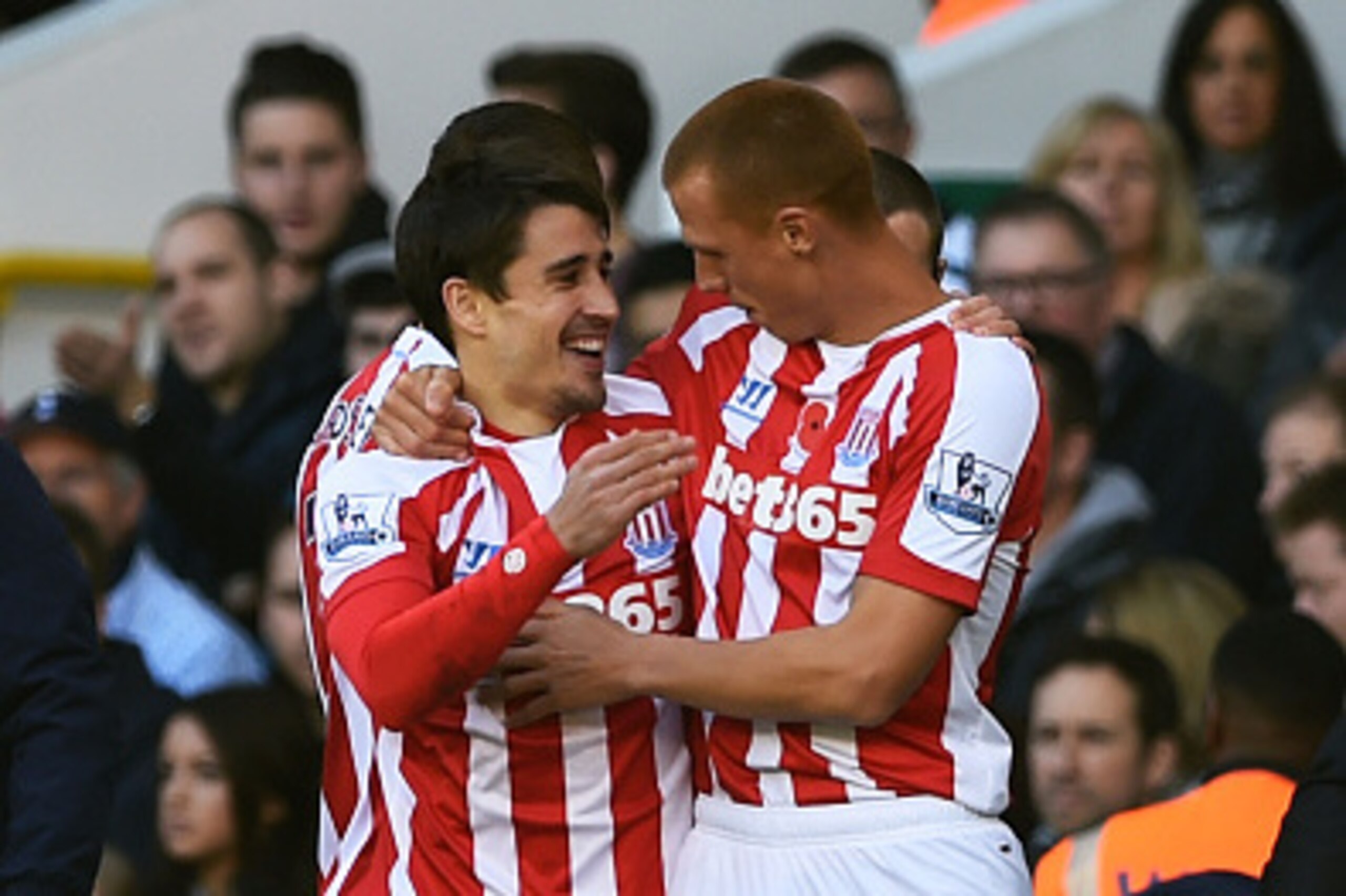 LONDON, ENGLAND - NOVEMBER 09:  Bojan Krkic (L) of Stoke City celebrates with teammate Steve Sidwell of Stoke City after scoring the opening goal during the Barclays Premier League match between Tottenham Hotspur and Stoke City at White Hart Lane on Novem