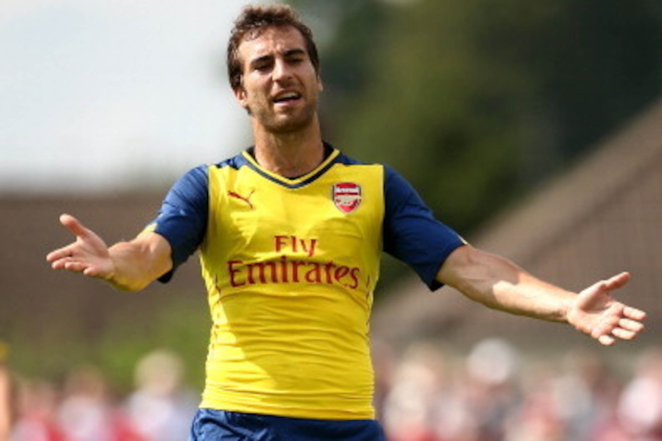 BOREHAMWOOD, ENGLAND - JULY 19:  Mathieu Flamini of Arsenal reacts during the pre season friendly match between Borehamwood and Arsenal at Meadow Park on July 19, 2014 in Borehamwood, England.  (Photo by Jordan Mansfield/Getty Images)